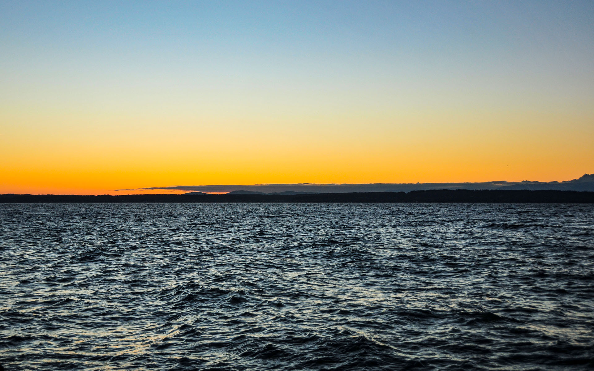 2016.12_Golden-Gardens-Park_Seattle_Washington_USA_02