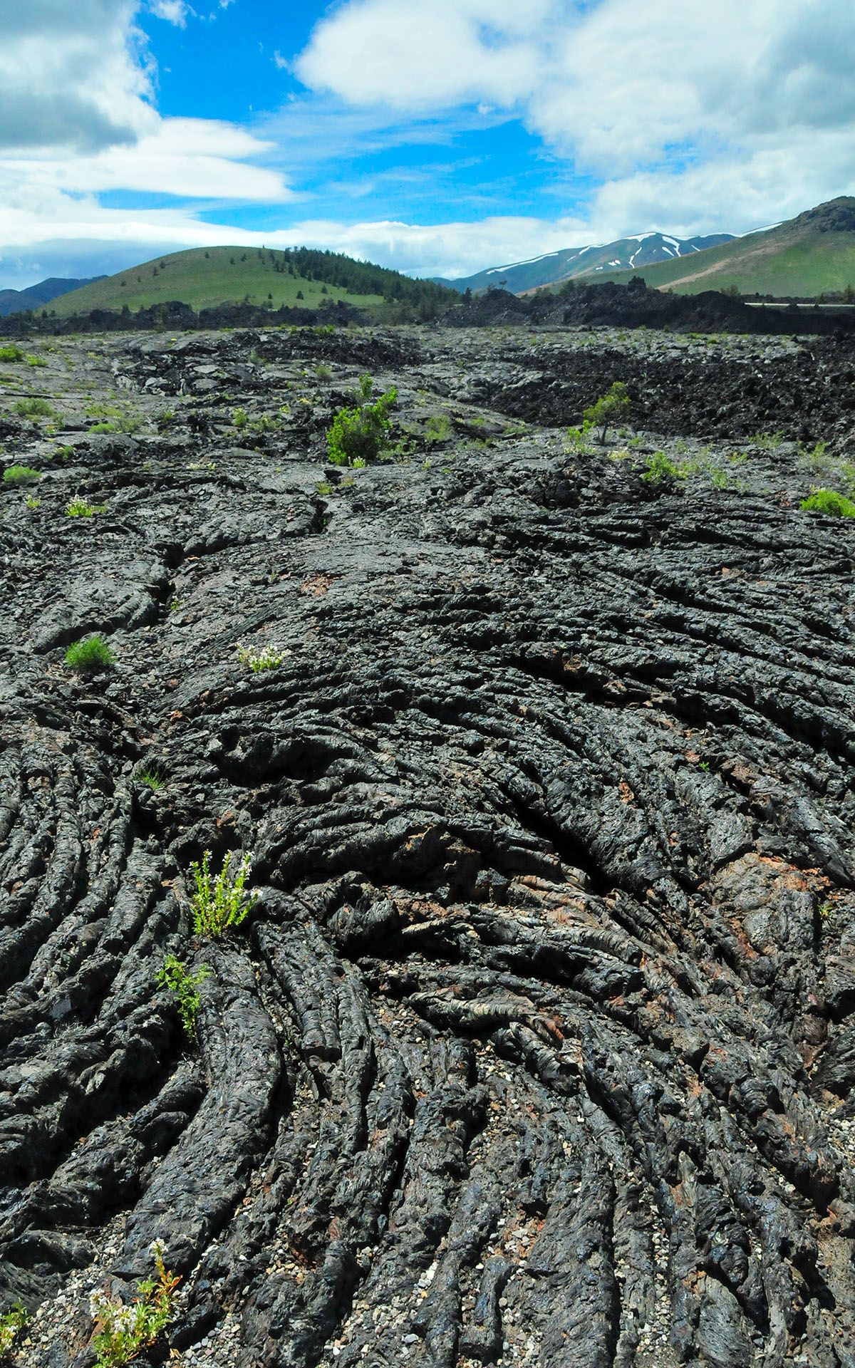 2017.06_North-Crater-Flow_Craters-of-the-Moon-National-Monument-Preserve_Idaho_USA_05