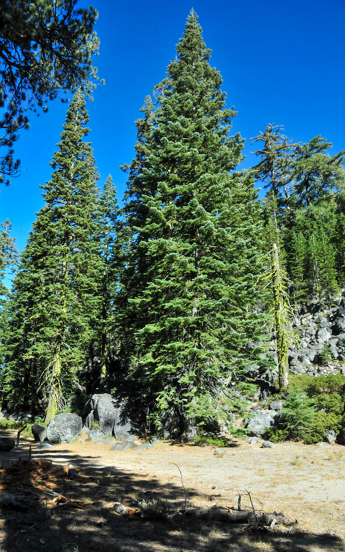 2017.10_Chaos-Crags_Lassen-Volcanic-National-Park_California_USA_07
