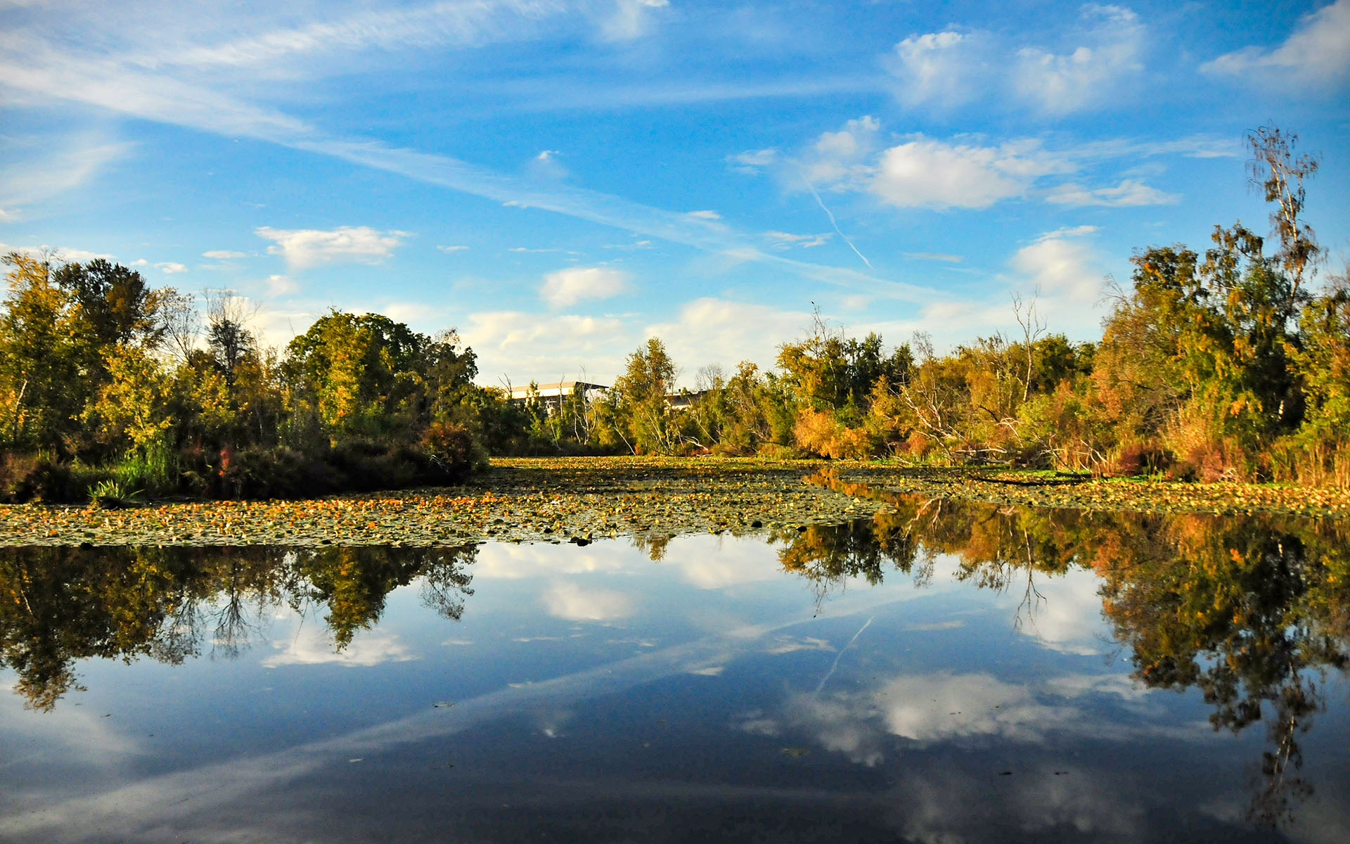 2017.10_Foster-Island_Seattle_Washington_USA_01