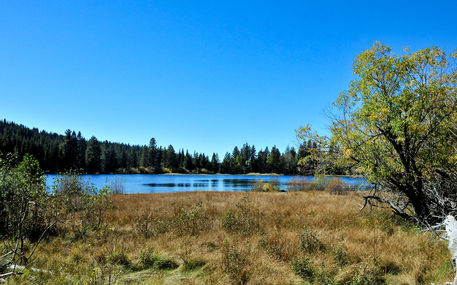 2017.10_Manzanita-Lake_Lassen-Volcanic-National-Park_California_USA_01