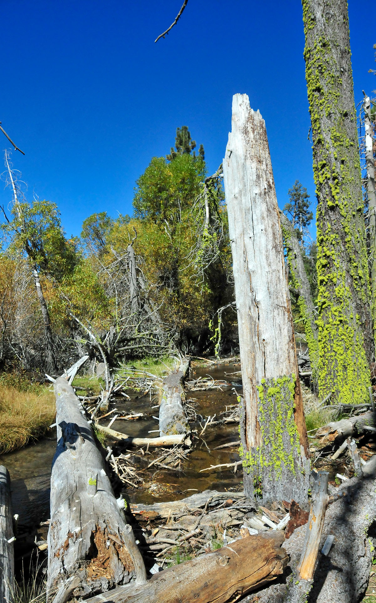 2017.10_Manzanita-Lake_Lassen-Volcanic-National-Park_California_USA_05