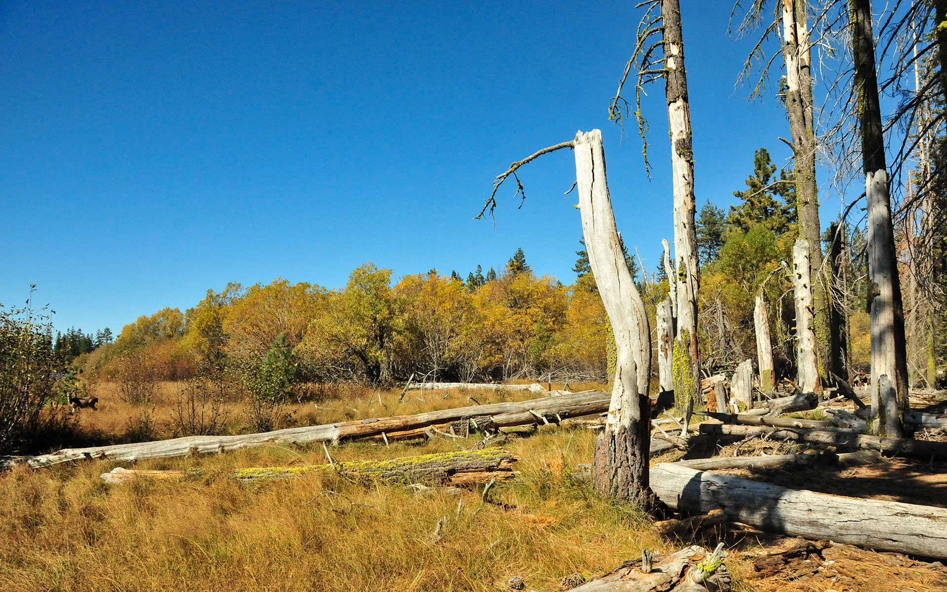 2017.10_Manzanita-Lake_Lassen-Volcanic-National-Park_California_USA_06