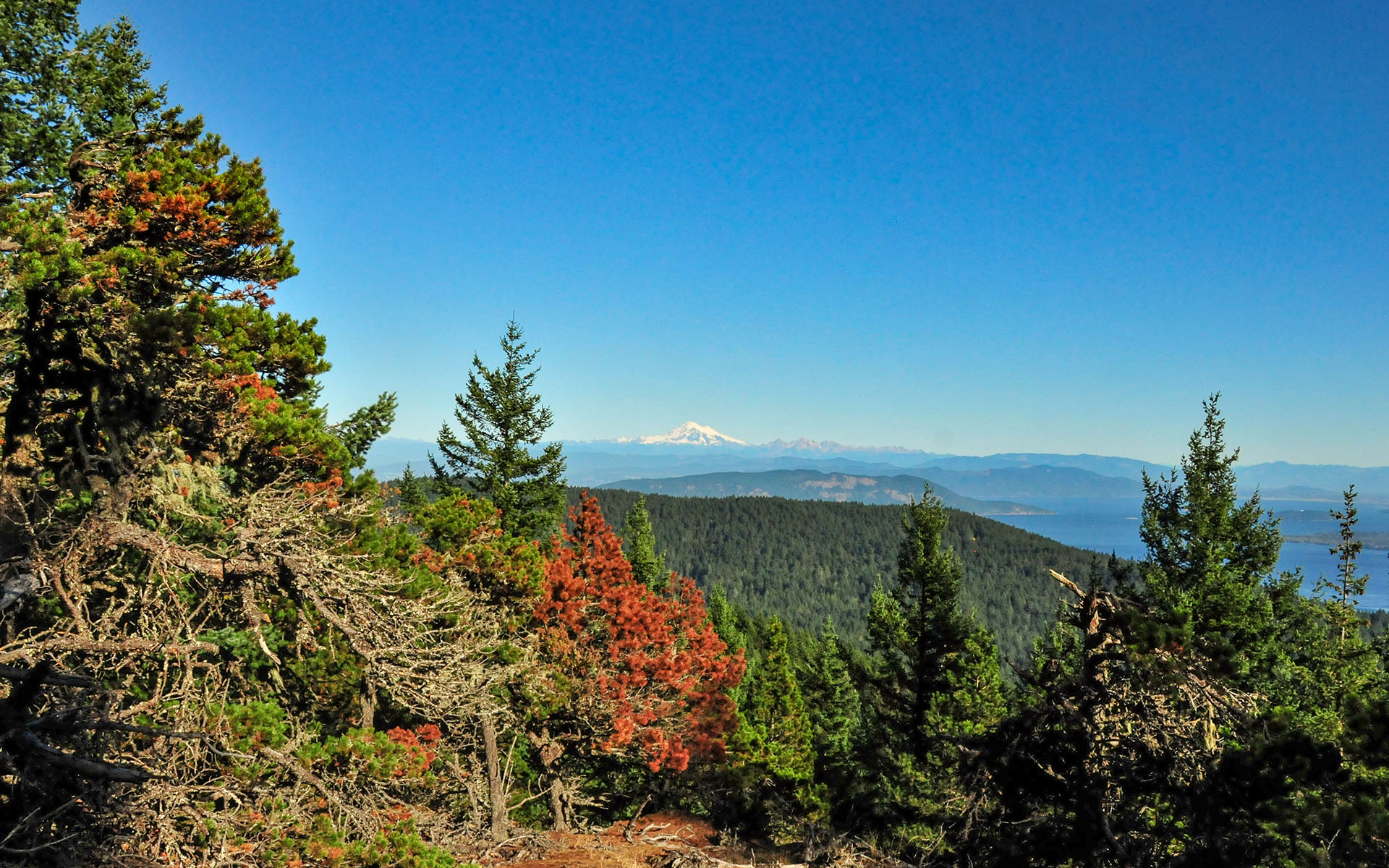 2017.10_Mt-Constitution_Moran-State-Park_Orcas-Island_Washington_USA_01