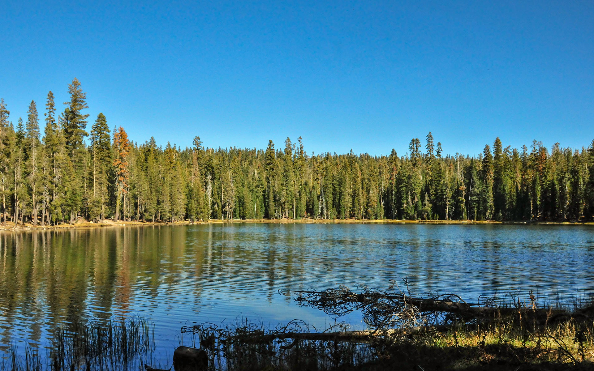 2017.10_Summit-Lake_Lassen-Volcanic-National-Park_California_USA_01