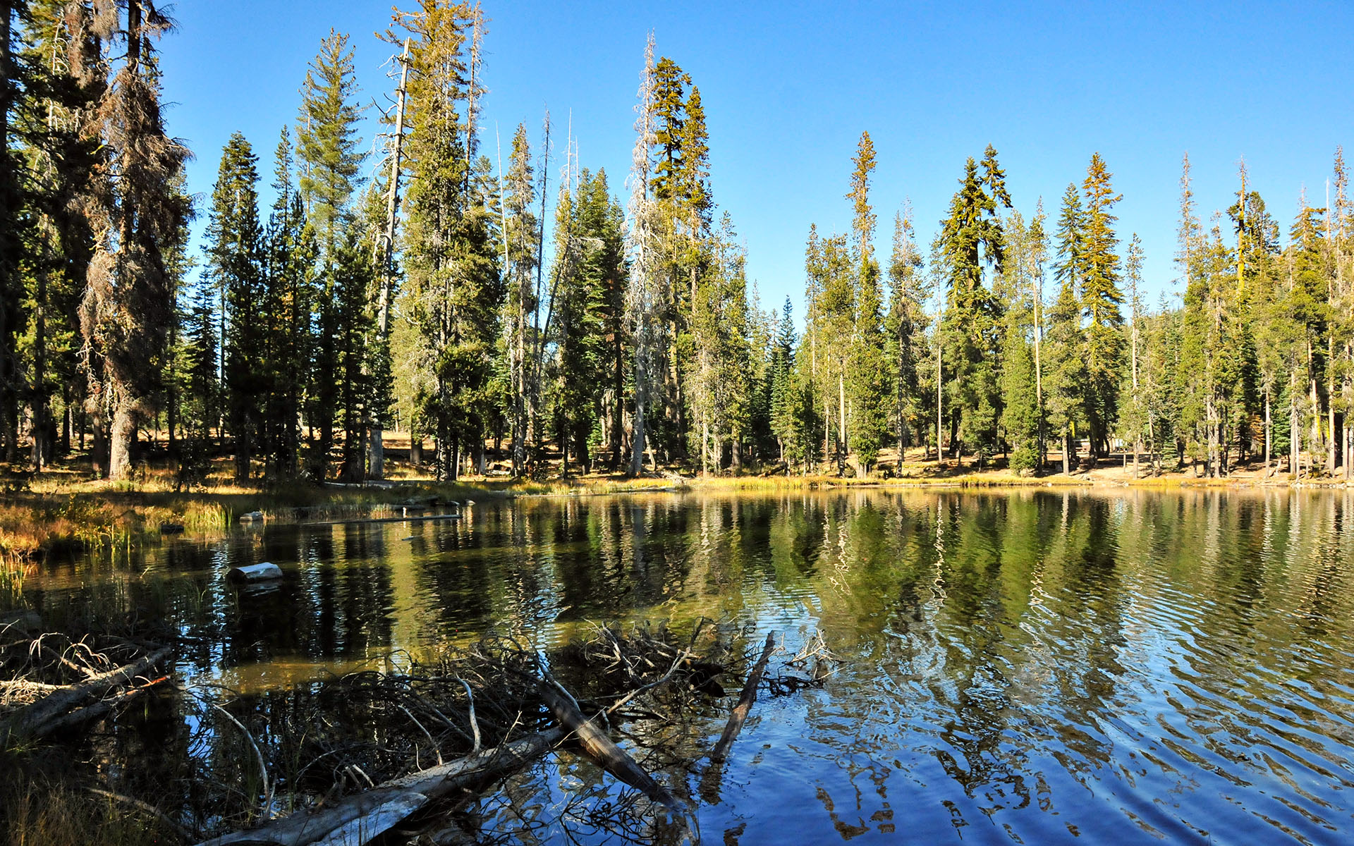2017.10_Summit-Lake_Lassen-Volcanic-National-Park_California_USA_02