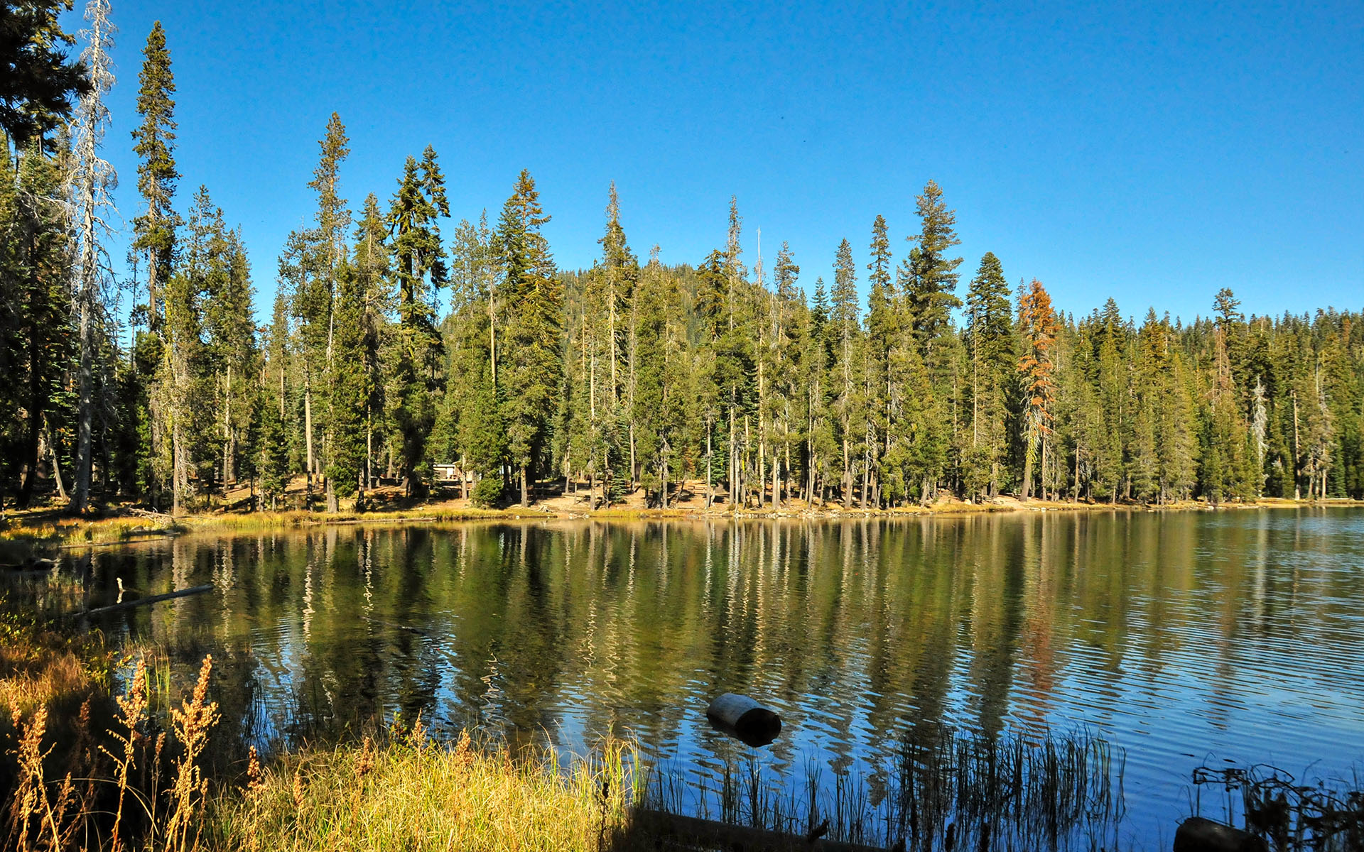 2017.10_Summit-Lake_Lassen-Volcanic-National-Park_California_USA_03