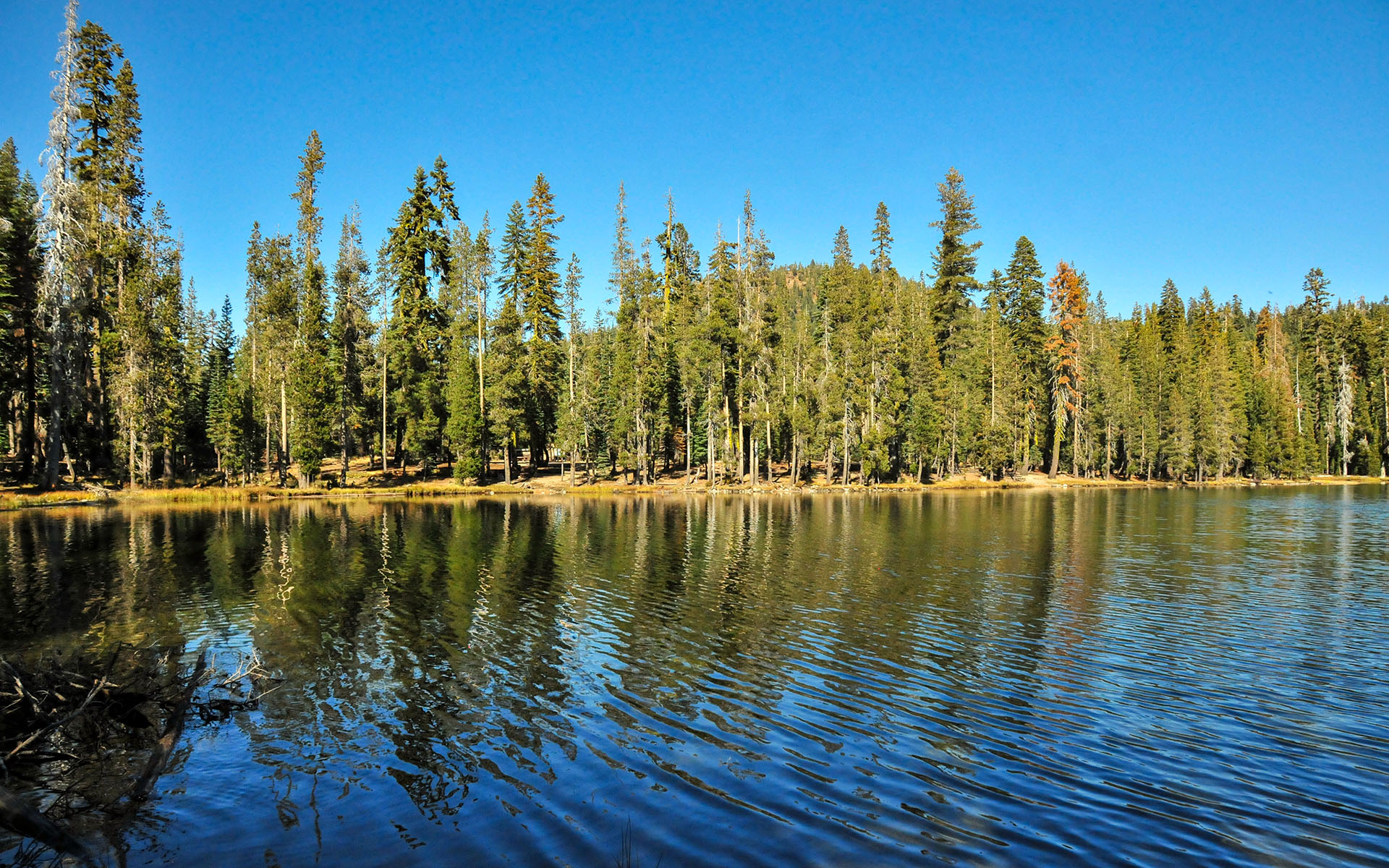 2017.10_Summit-Lake_Lassen-Volcanic-National-Park_California_USA_04