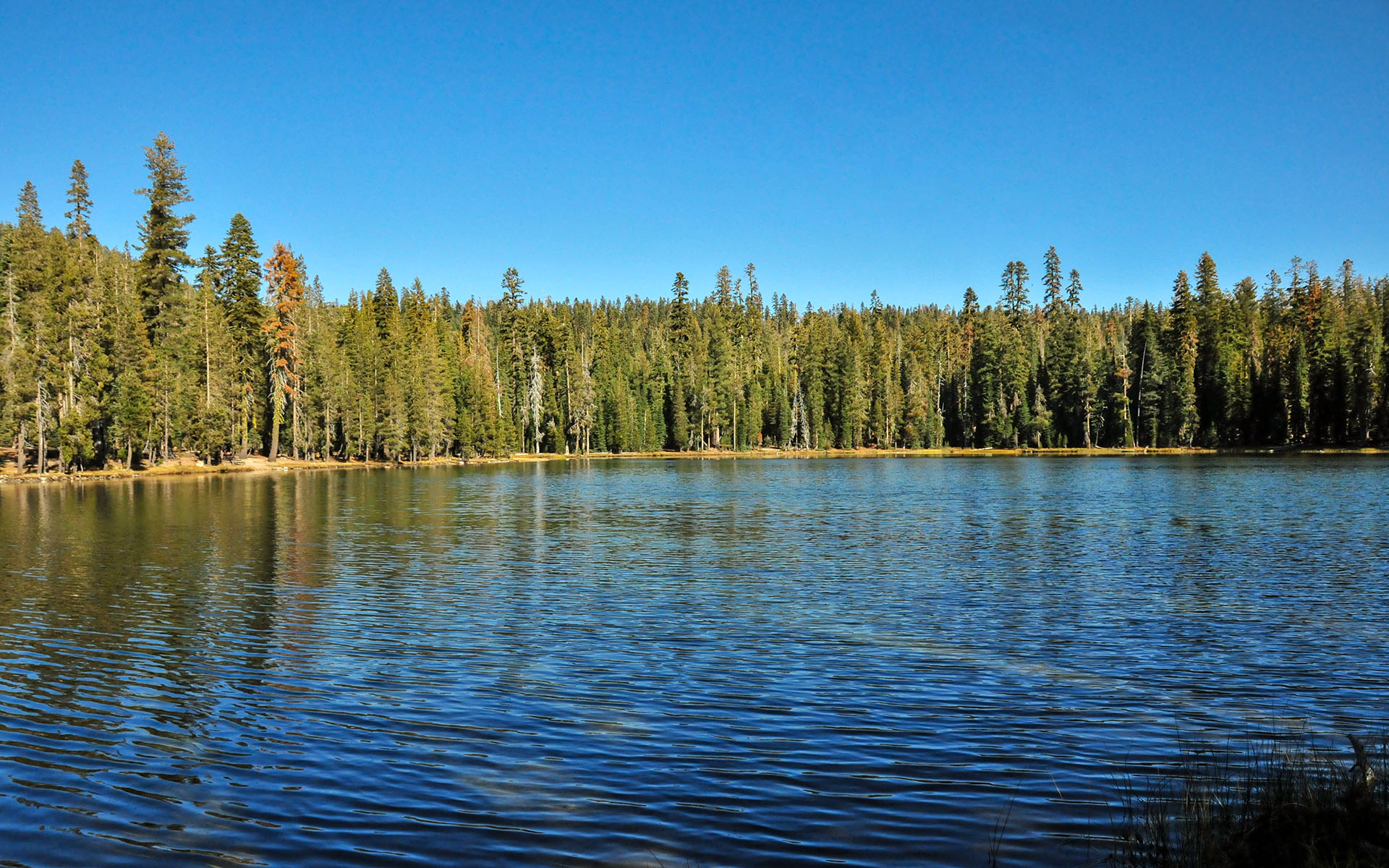 2017.10_Summit-Lake_Lassen-Volcanic-National-Park_California_USA_05