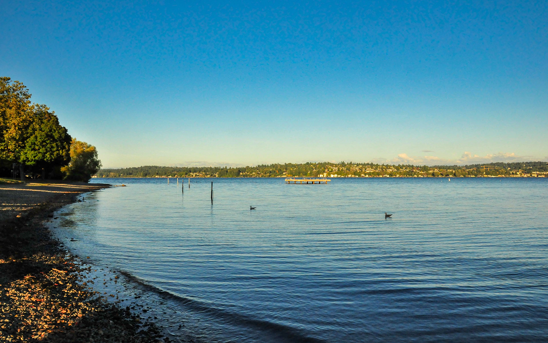 2017.10_Warren-G-Magnuson-Park_Seattle_Washington_USA_01