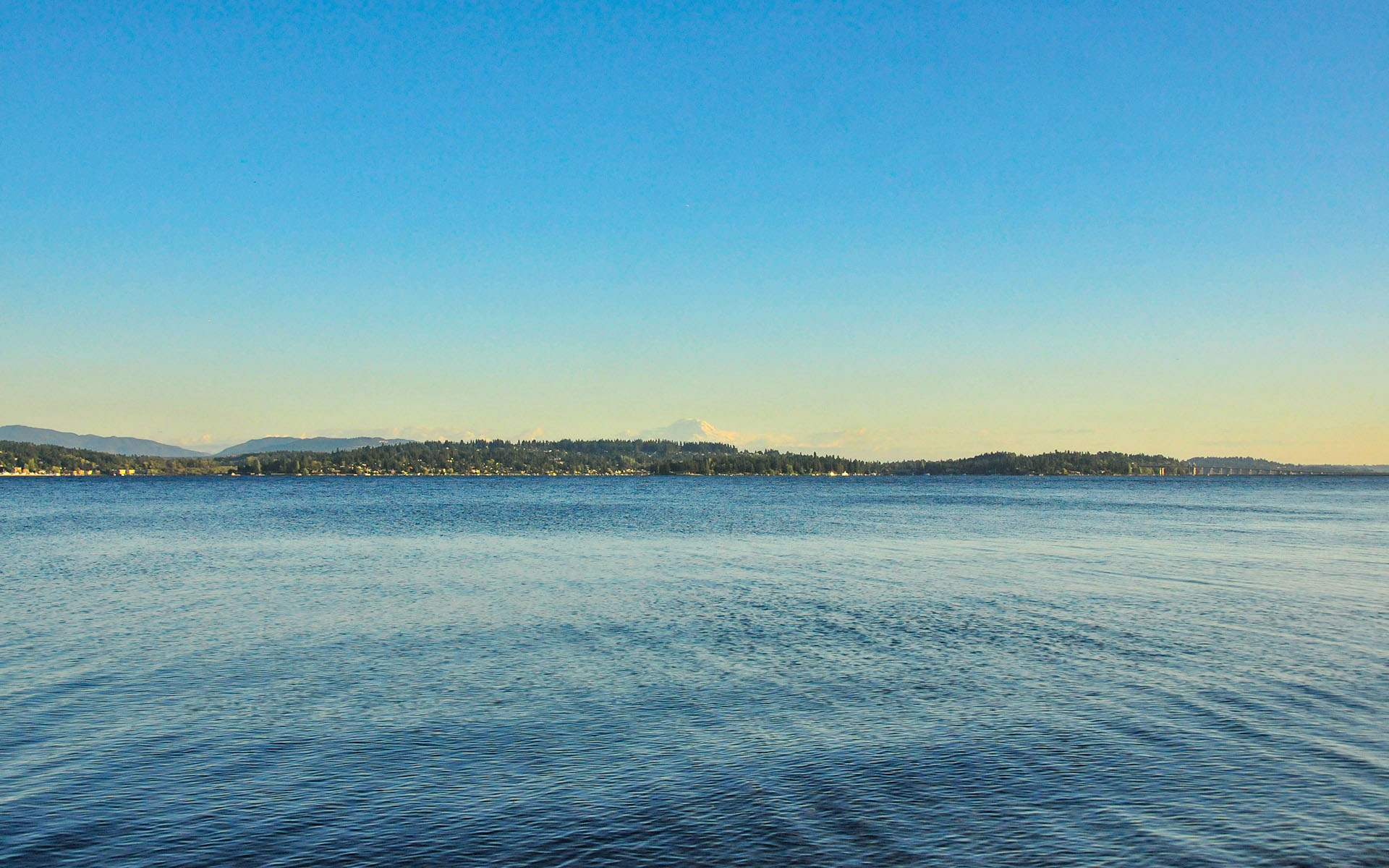 2017.10_Warren-G-Magnuson-Park_Seattle_Washington_USA_04