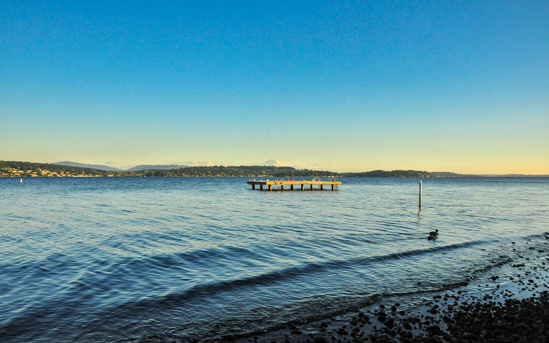 2017.10_Warren-G-Magnuson-Park_Seattle_Washington_USA_05