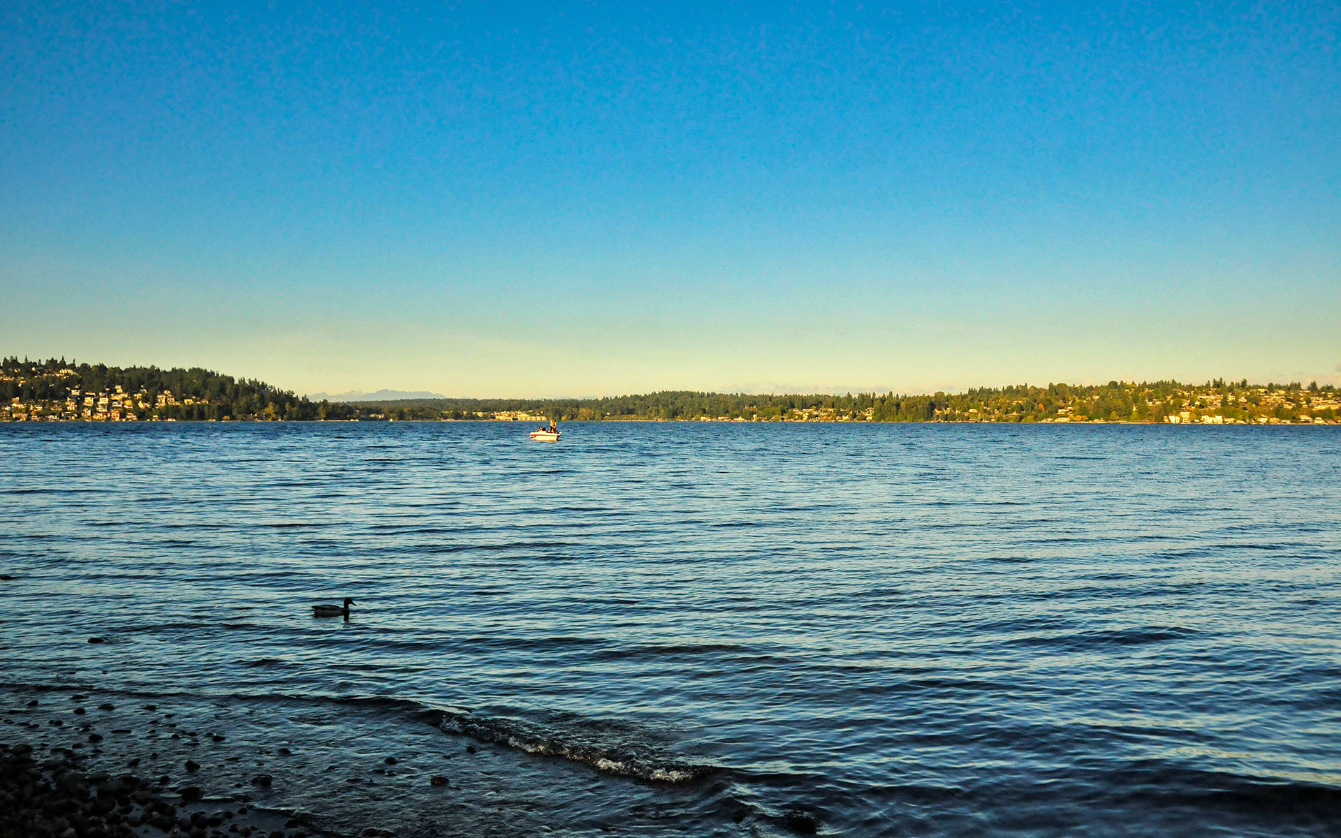 2017.10_Warren-G-Magnuson-Park_Seattle_Washington_USA_06