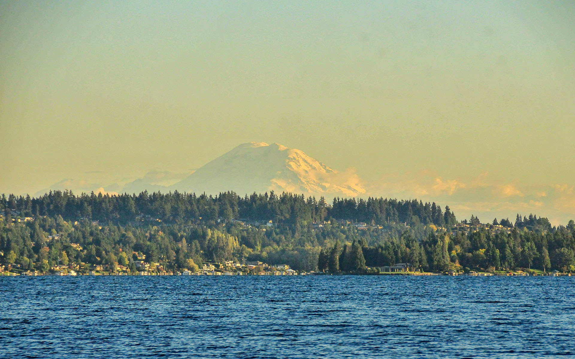 2017.10_Warren-G-Magnuson-Park_Seattle_Washington_USA_07