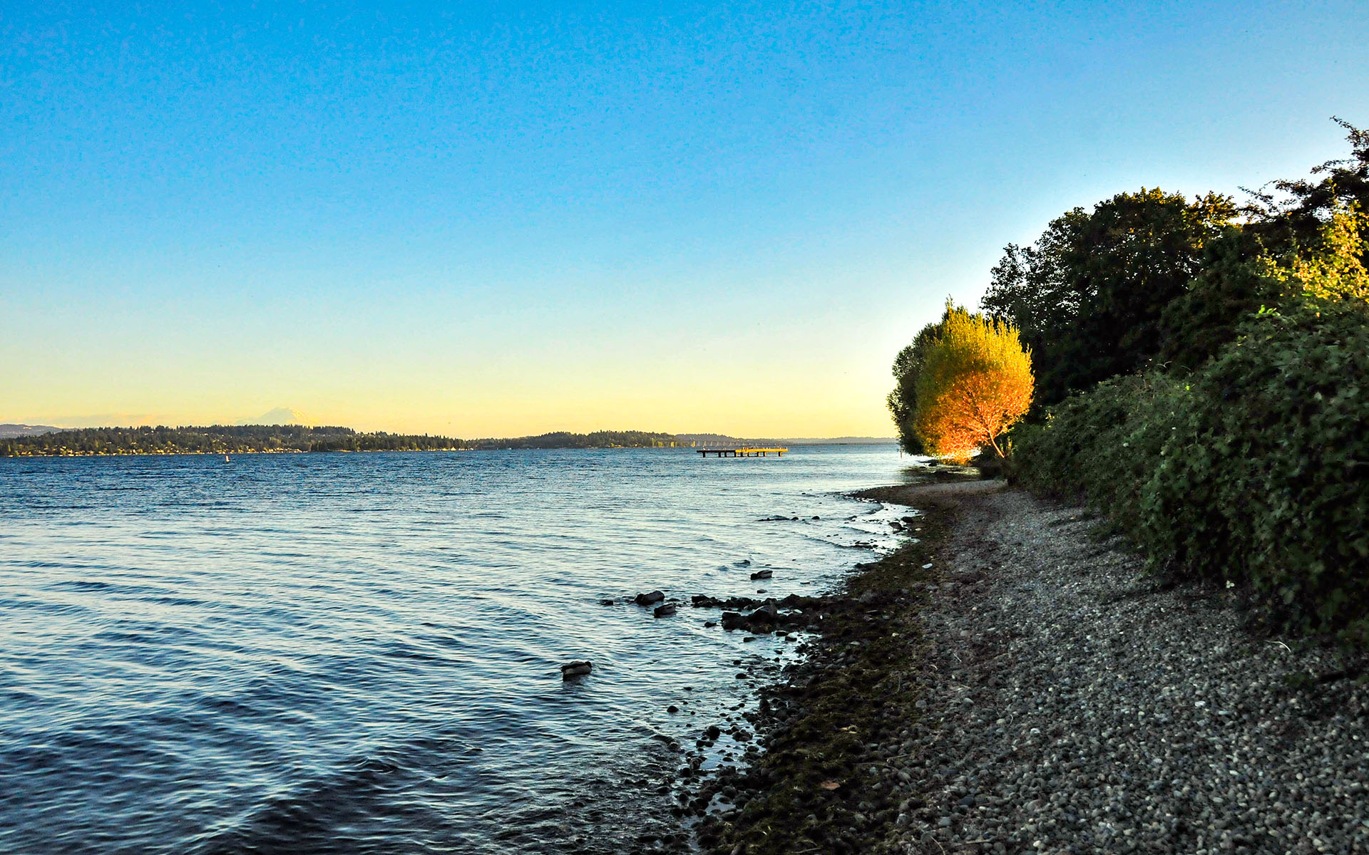 2017.10_Warren-G-Magnuson-Park_Seattle_Washington_USA_08