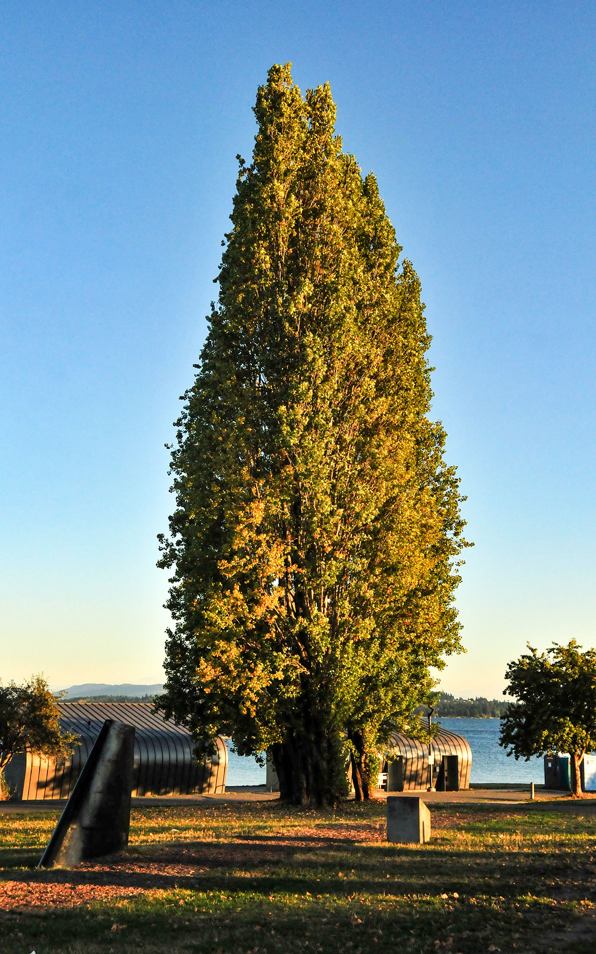 2017.10_Warren-G-Magnuson-Park_Seattle_Washington_USA_09