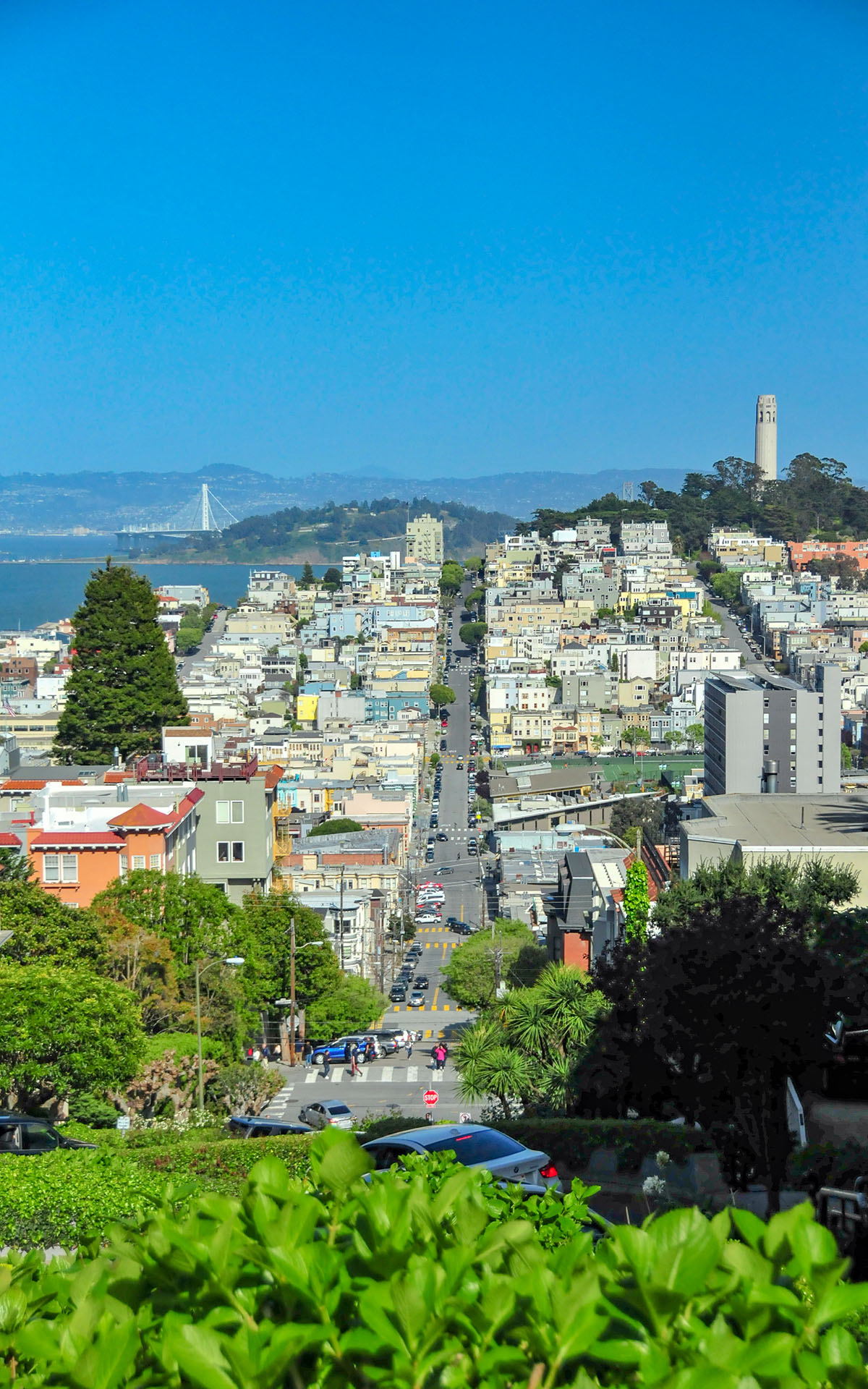 2018.04_Lombard-Street_San-Francisco_California_USA_09