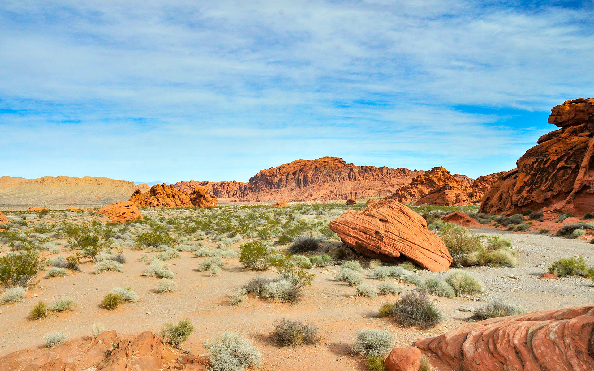 2018.12_Beehives_Valley-of-Fire-State-Park_Nevada_USA_01