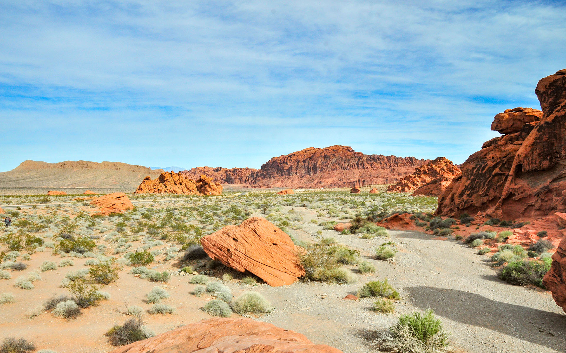2018.12_Beehives_Valley-of-Fire-State-Park_Nevada_USA_02