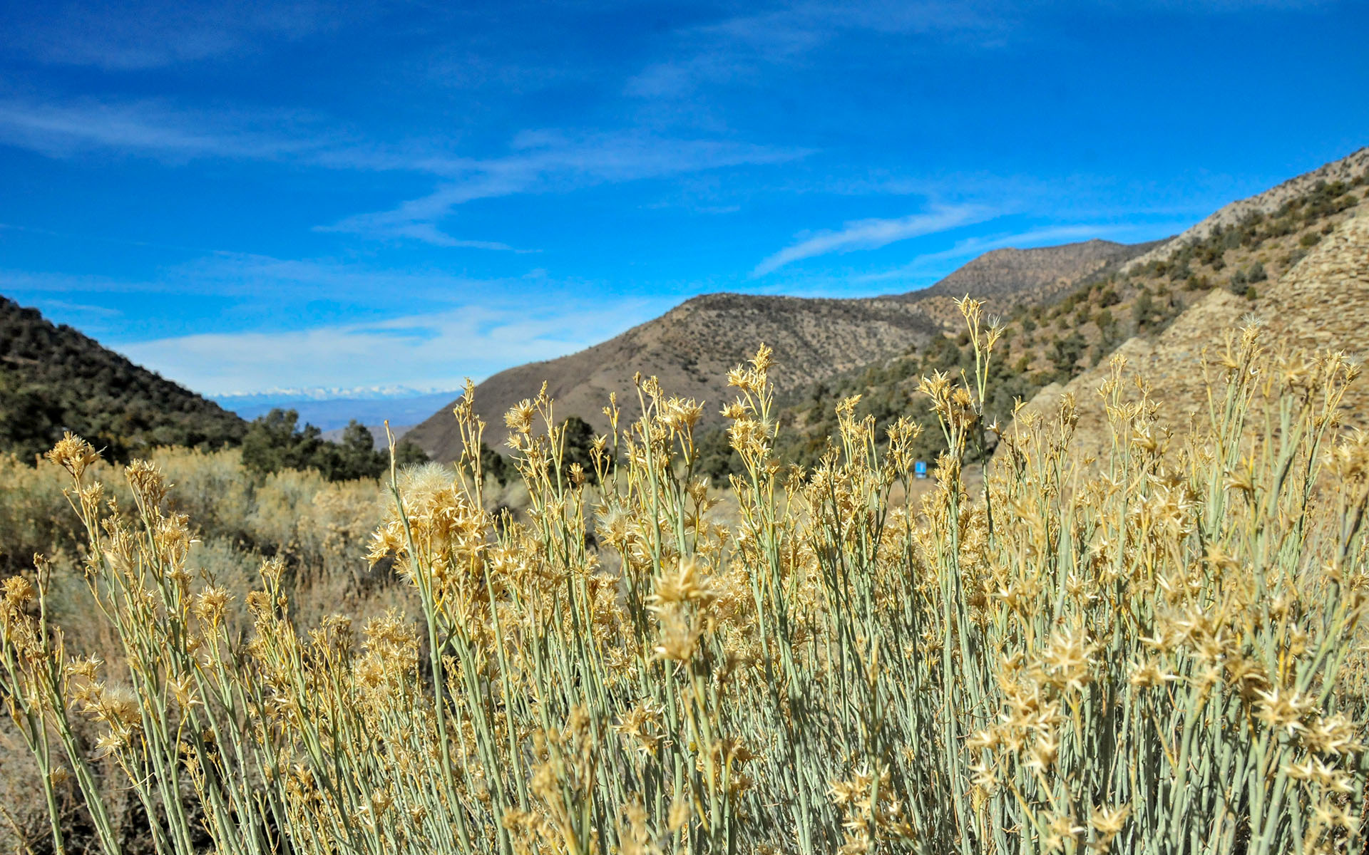 2018.12_Charcoal-Kilns_Death-Valley-National-Park_California_USA_09