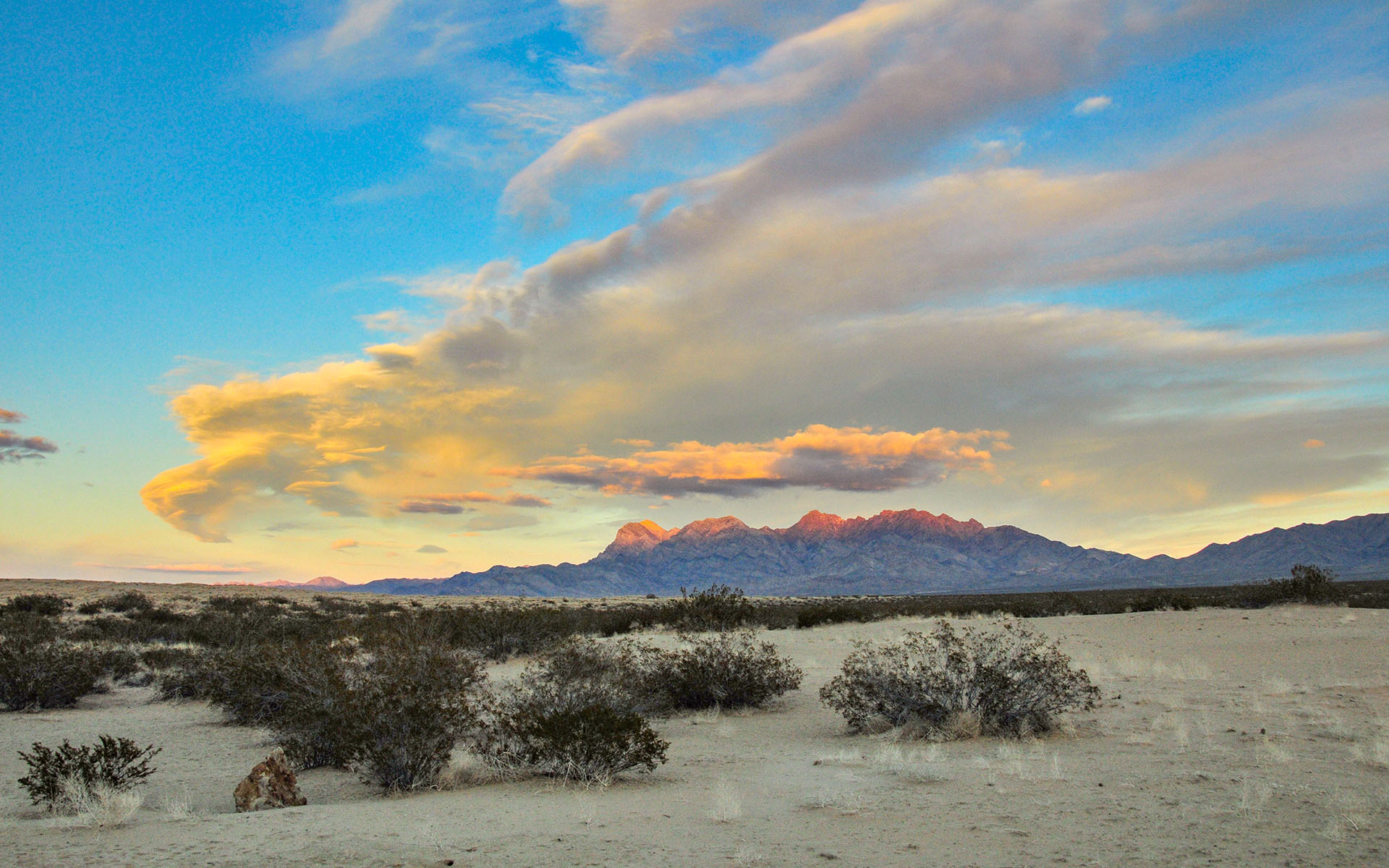 2018.12_Providence-Mountains_Mojave-National-Preserve_California_USA_02