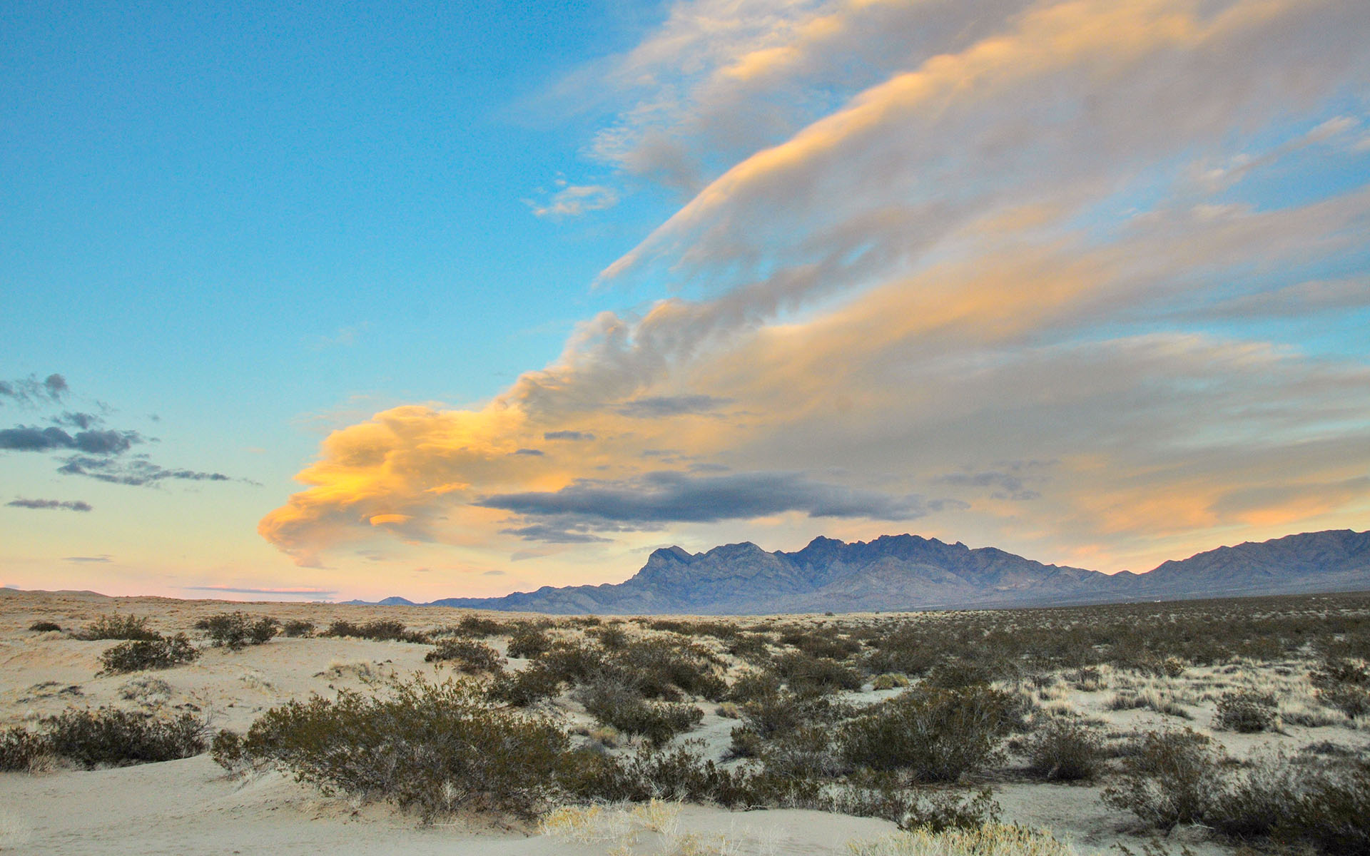 2018.12_Providence-Mountains_Mojave-National-Preserve_California_USA_03