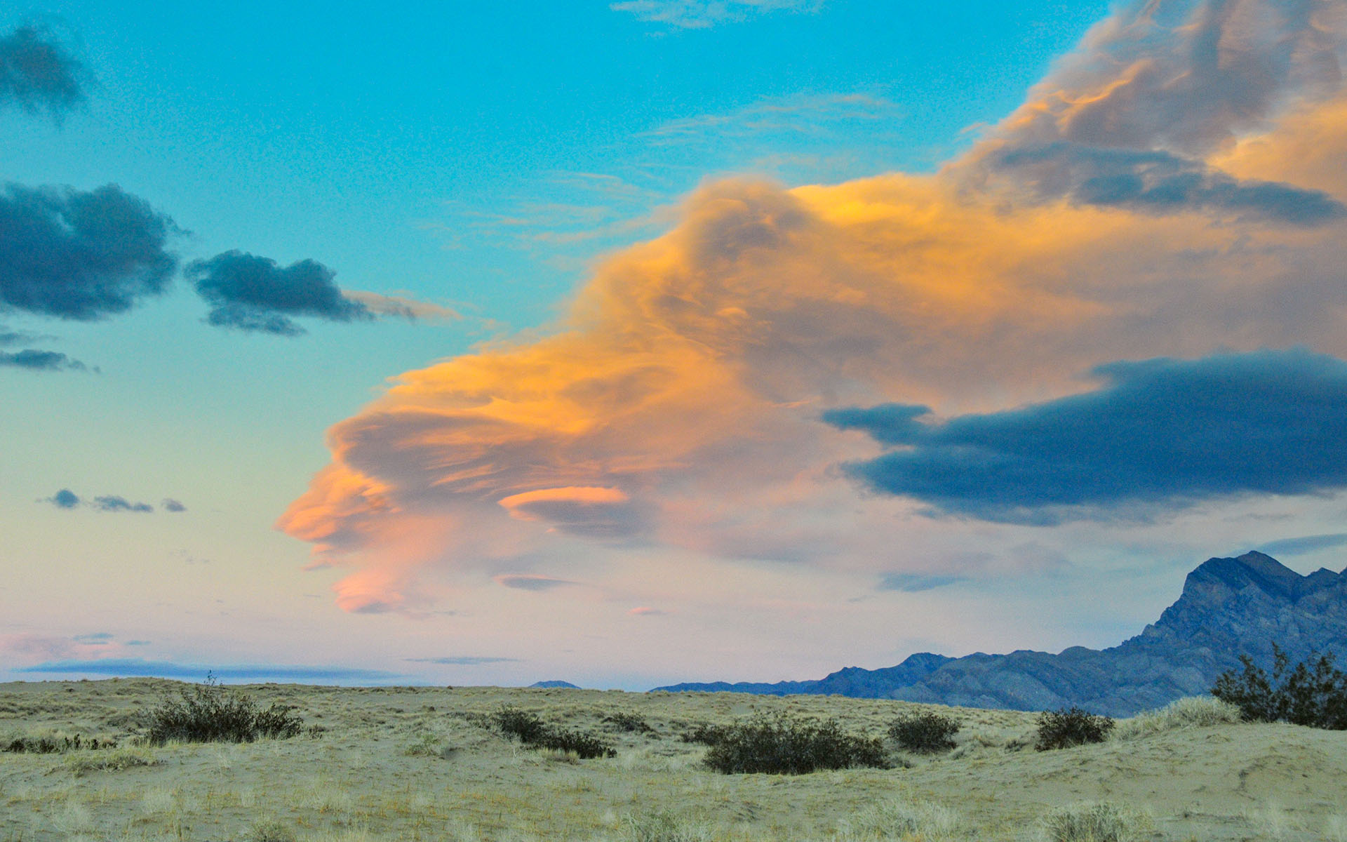 2018.12_Providence-Mountains_Mojave-National-Preserve_California_USA_04