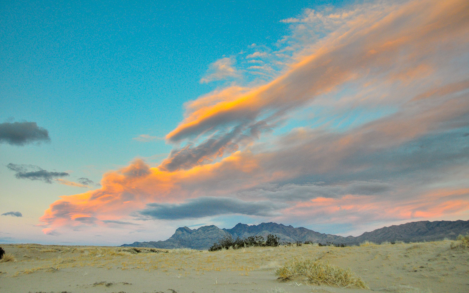 2018.12_Providence-Mountains_Mojave-National-Preserve_California_USA_06