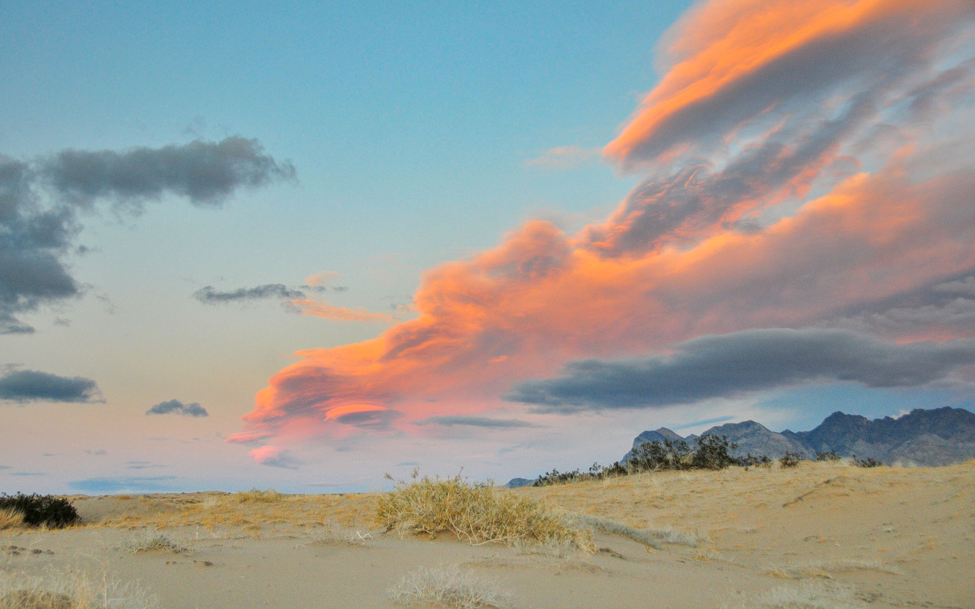 2018.12_Providence-Mountains_Mojave-National-Preserve_California_USA_07