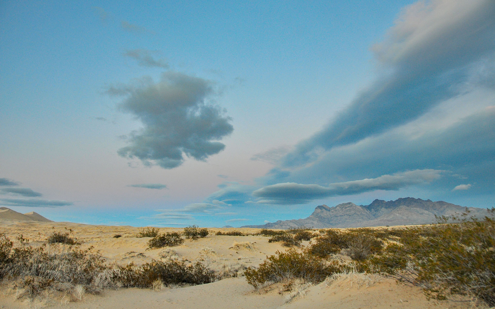 2018.12_Providence-Mountains_Mojave-National-Preserve_California_USA_09