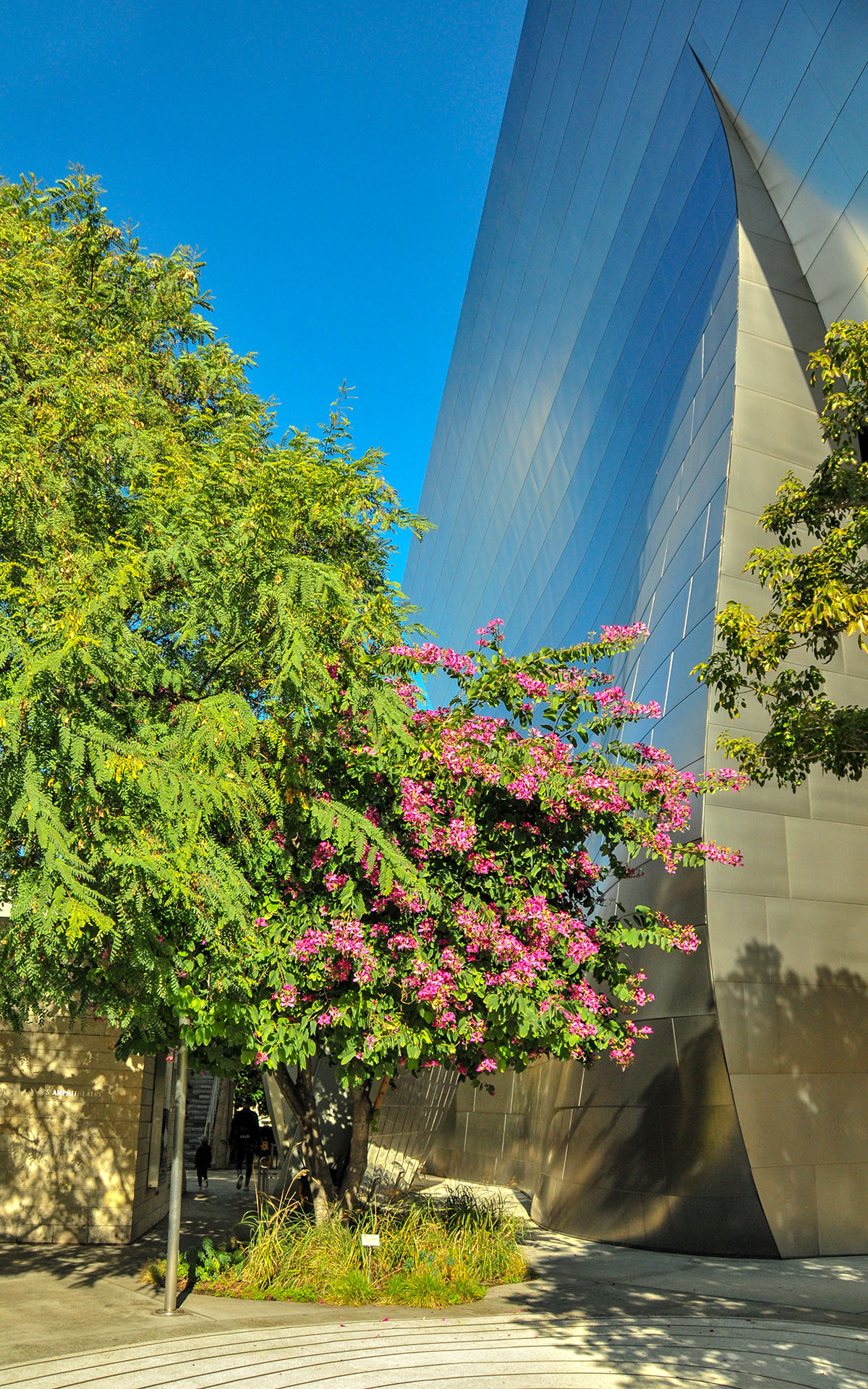 2018.12_Walt-Disney-Concert-Hall_Los-Angeles_California_USA_07