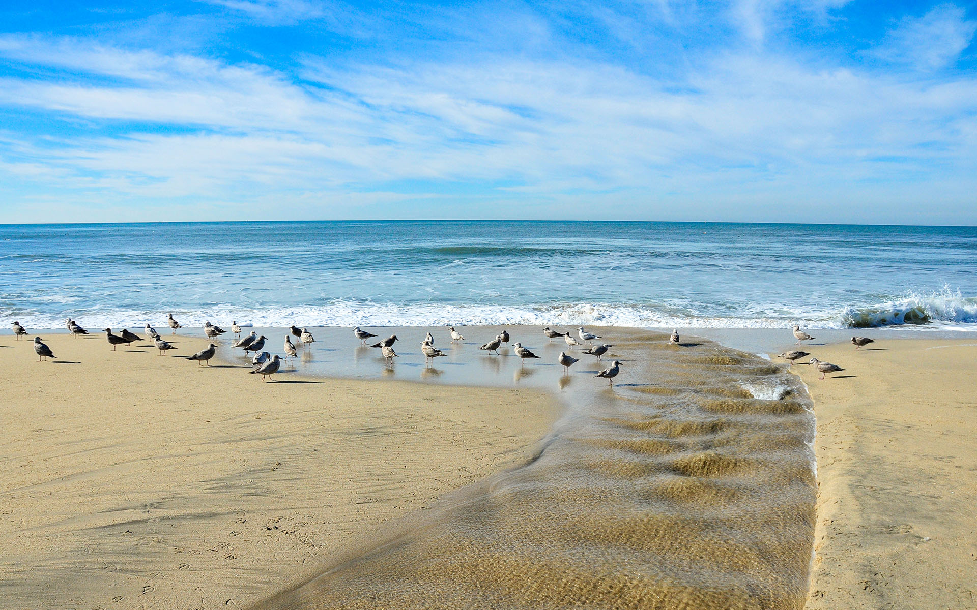 2019.01_Half-Moon-Bay-State-Beach_California_USA_08