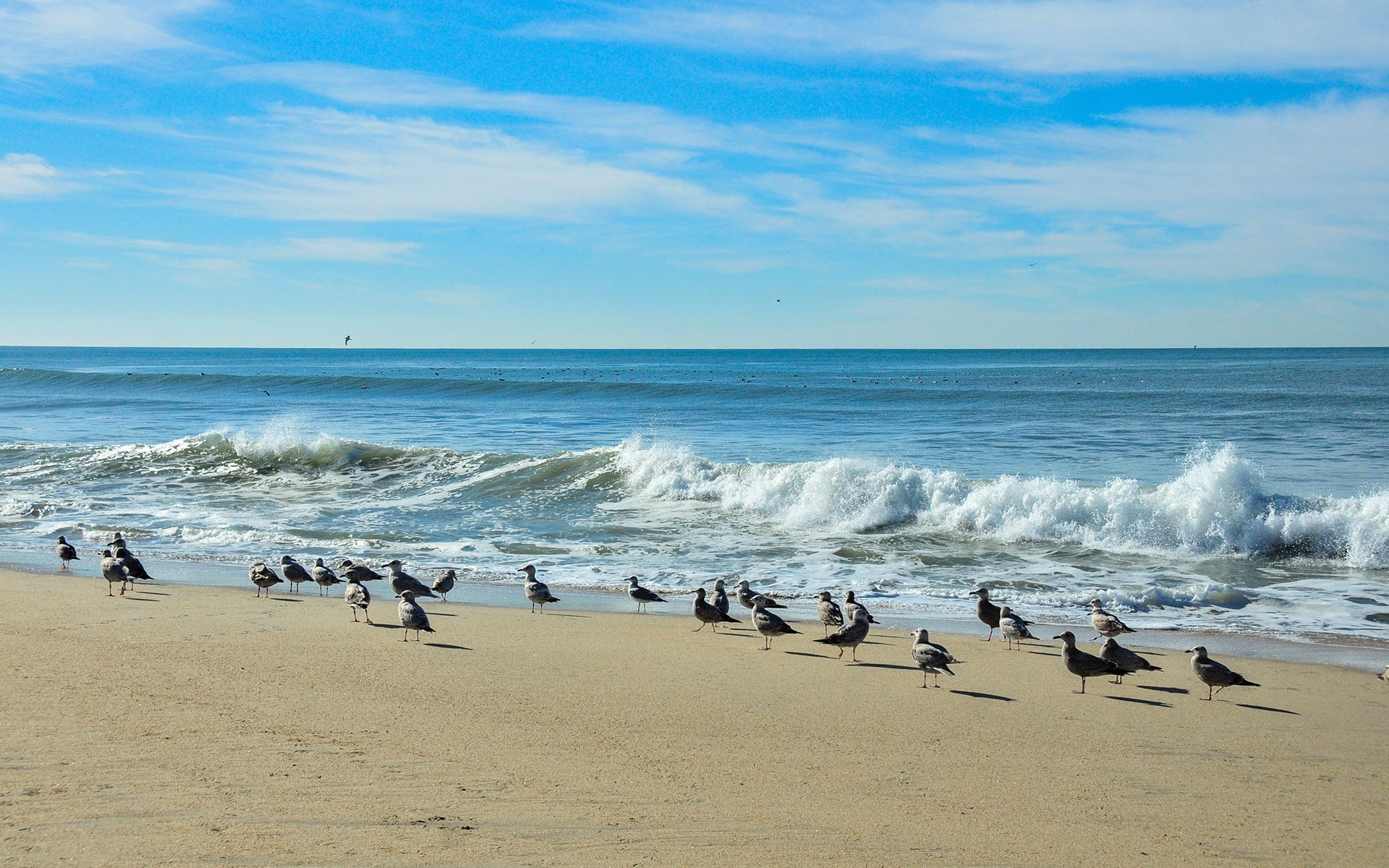 2019.01_Half-Moon-Bay-State-Beach_California_USA_09