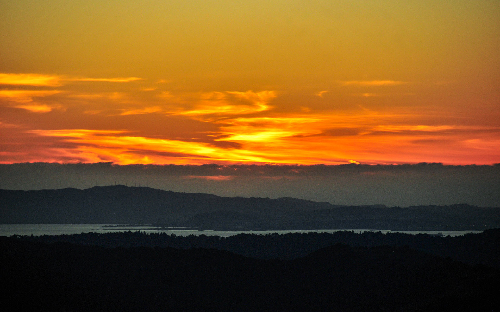 2019.01_Sunset_Juniper-Campground_Mount-Diablo-State-Park_California_USA_09
