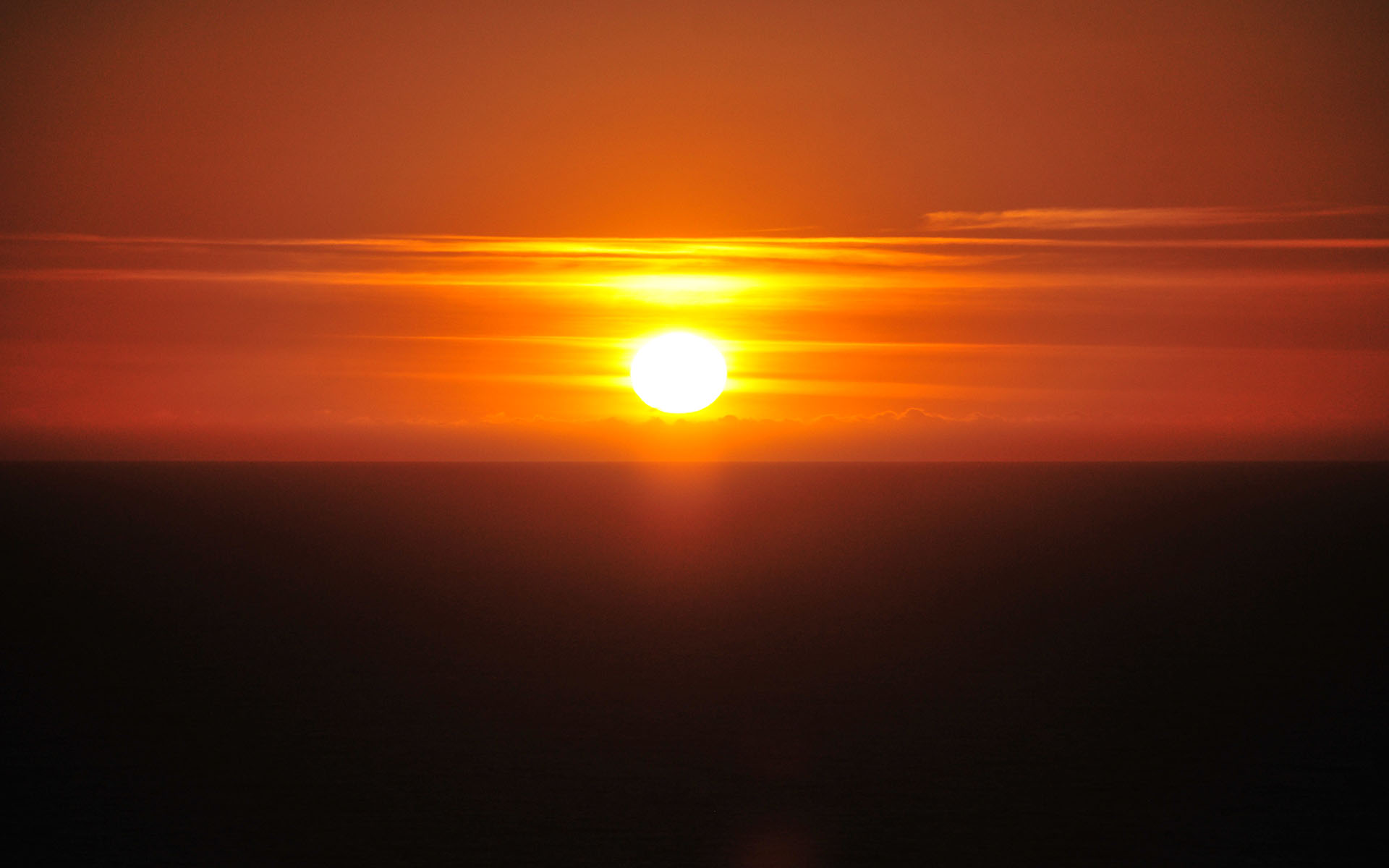 2019.02_Devil’s-Slide-Trail_Pacifica_California_USA_05