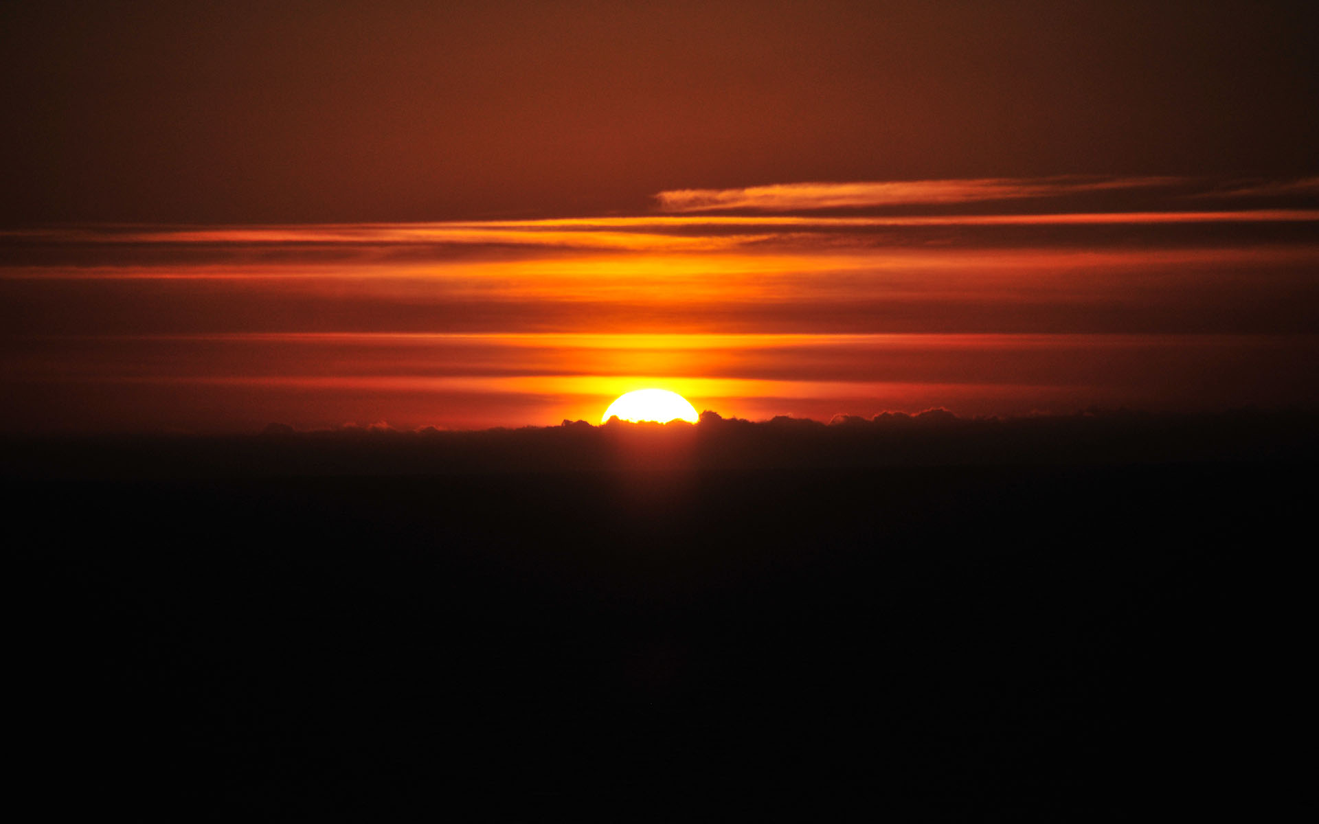 2019.02_Devil’s-Slide-Trail_Pacifica_California_USA_07