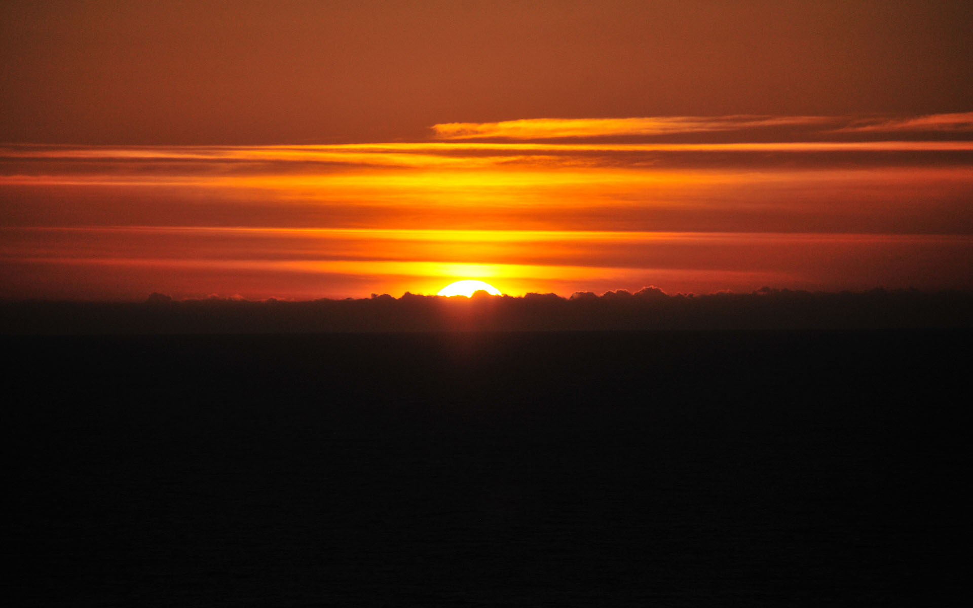 2019.02_Devil’s-Slide-Trail_Pacifica_California_USA_08