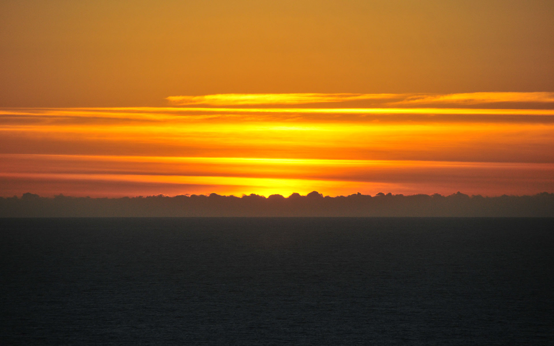 2019.02_Devil’s-Slide-Trail_Pacifica_California_USA_09