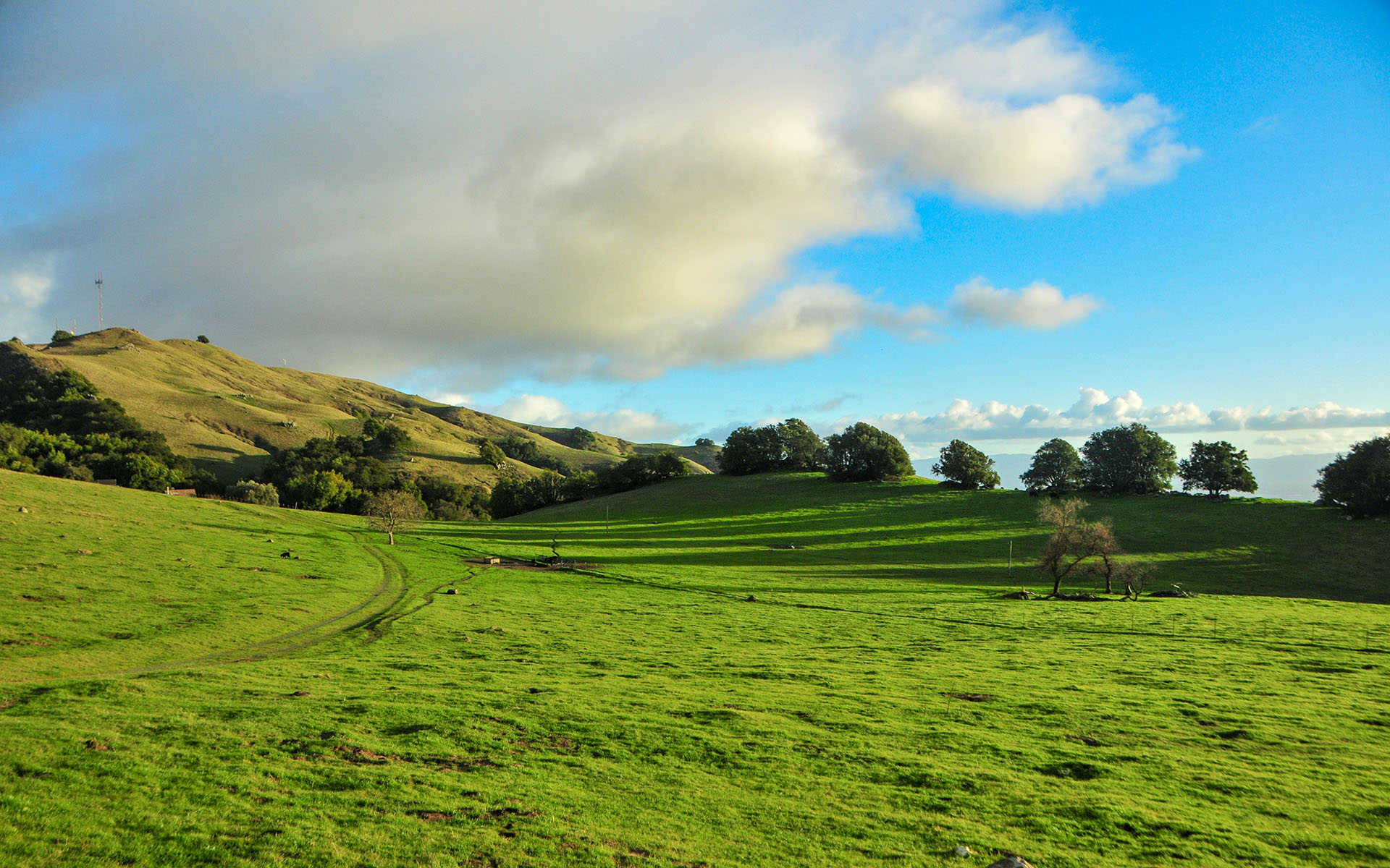 2019.02_Mission-Peak-Trail_Mission-Peak-Regional-Preserve_Fremont_California_USA_05