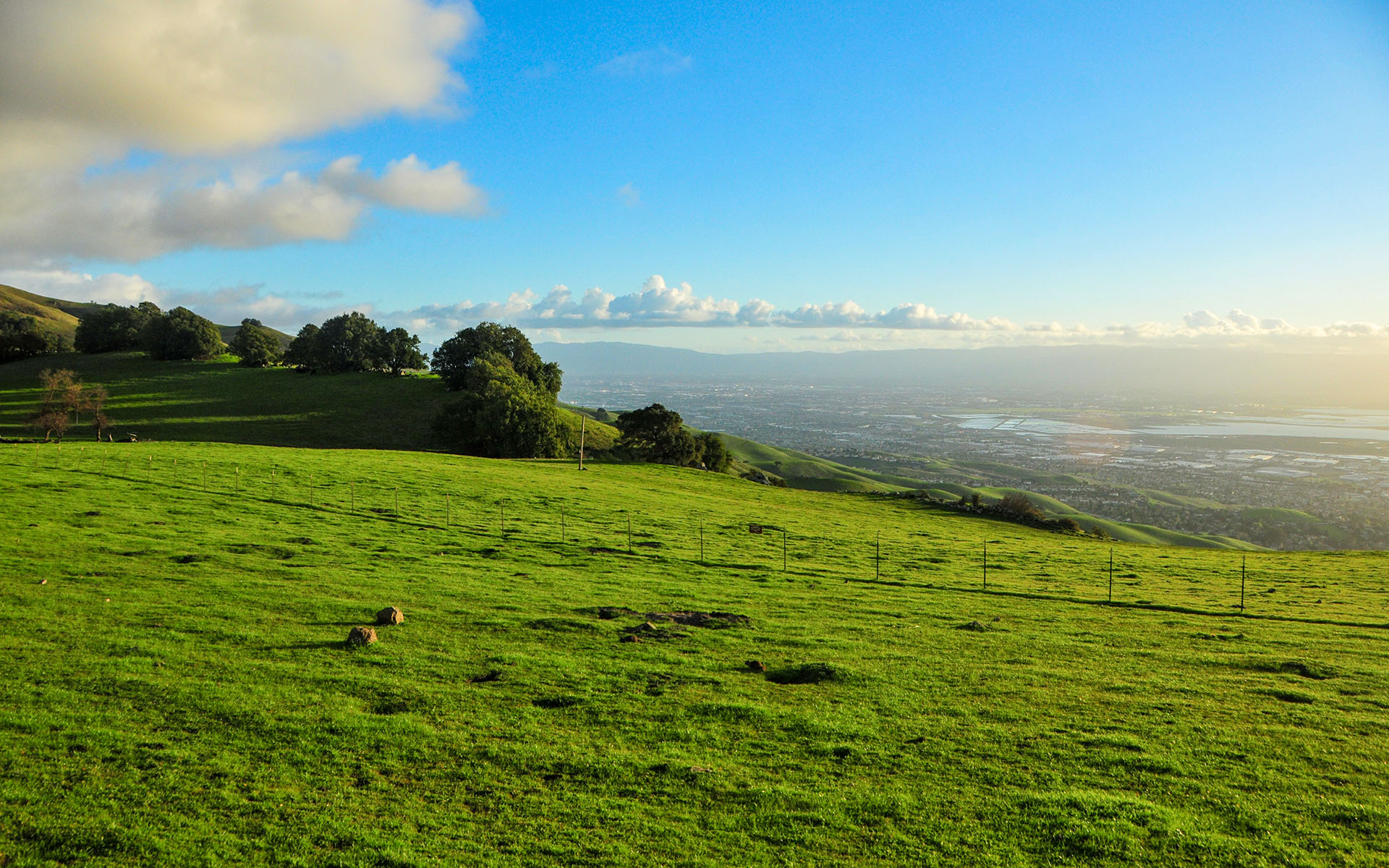 2019.02_Mission-Peak-Trail_Mission-Peak-Regional-Preserve_Fremont_California_USA_06