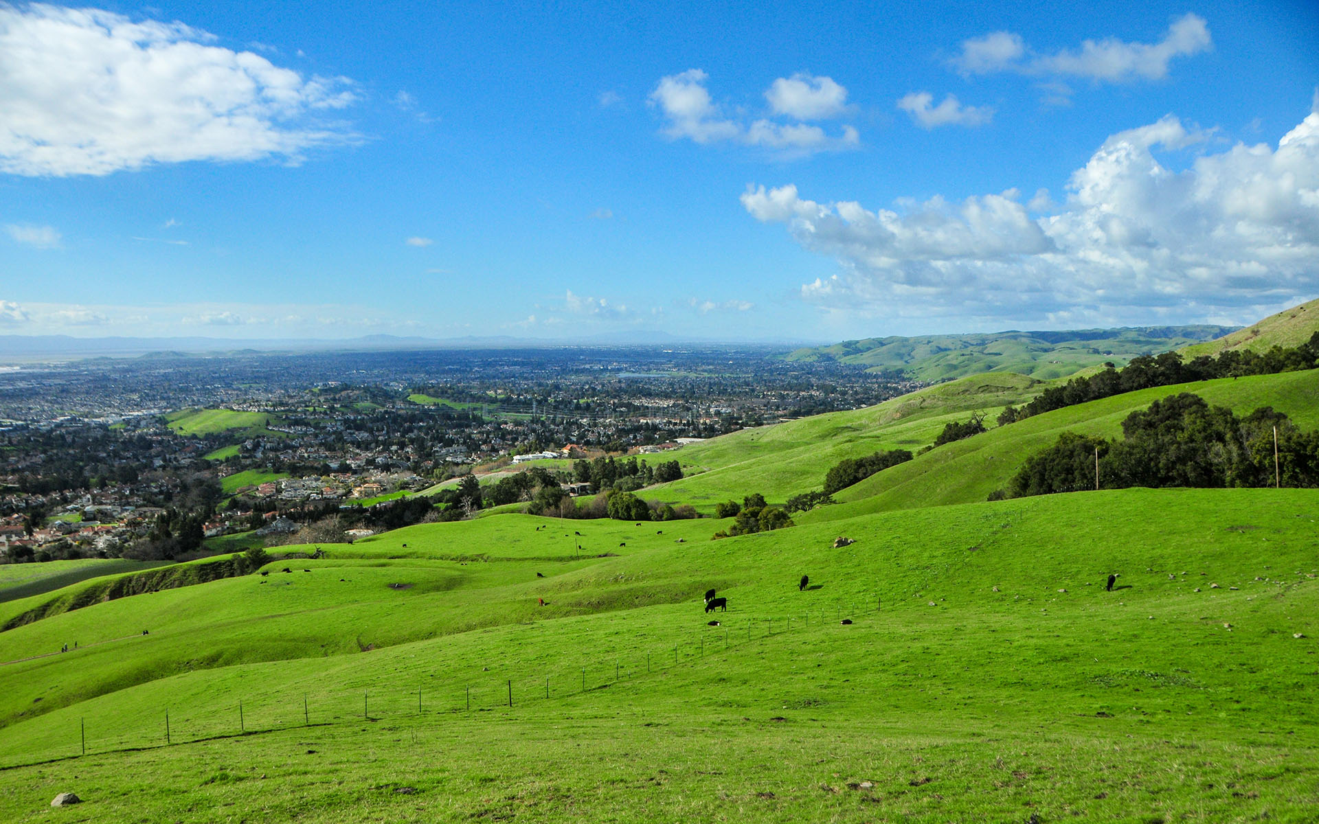 2019.02_Mission-Peak-Trail_Mission-Peak-Regional-Preserve_Fremont_California_USA_09