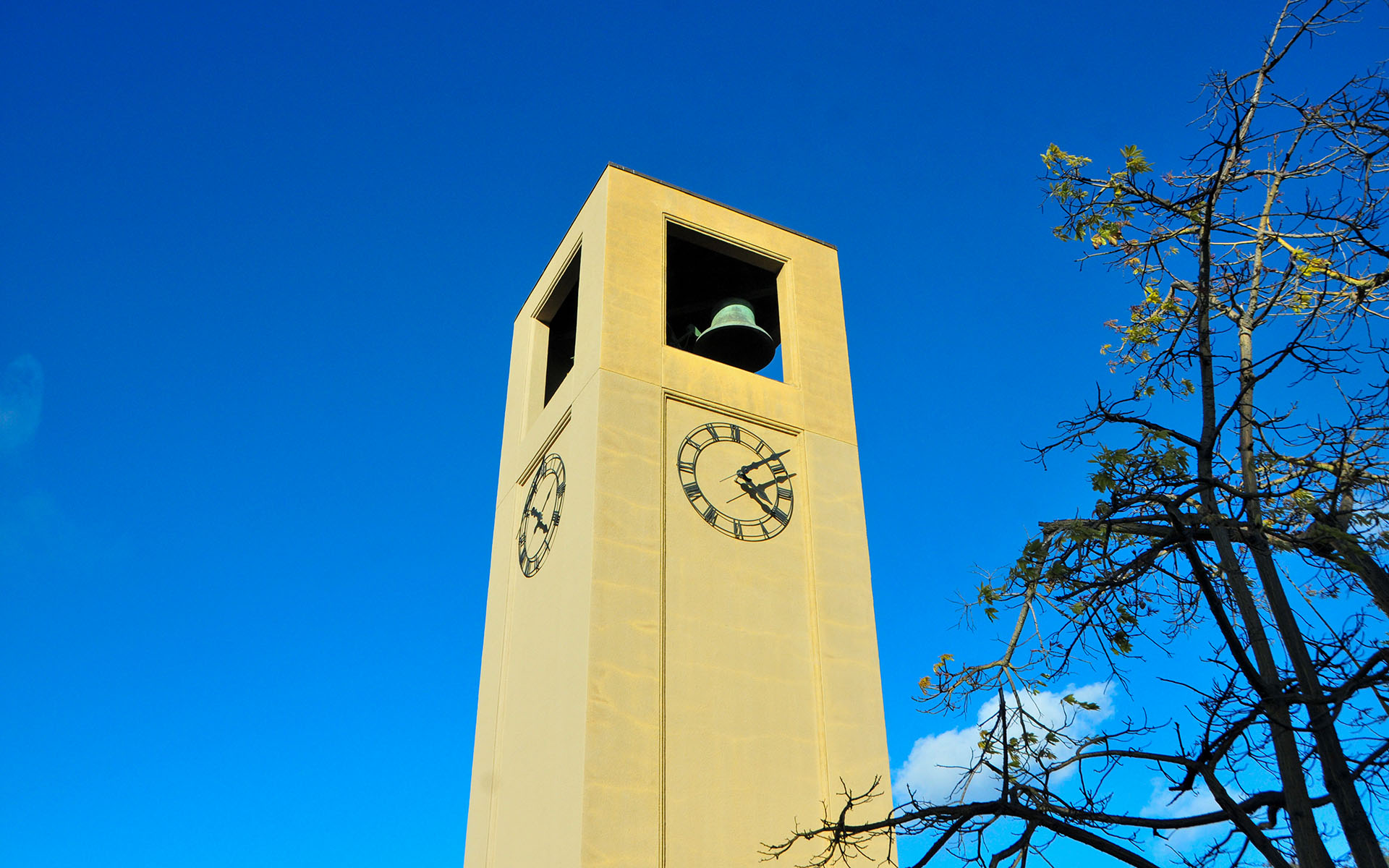 2019.02_Stanford-University_Stanford_California_USA_09