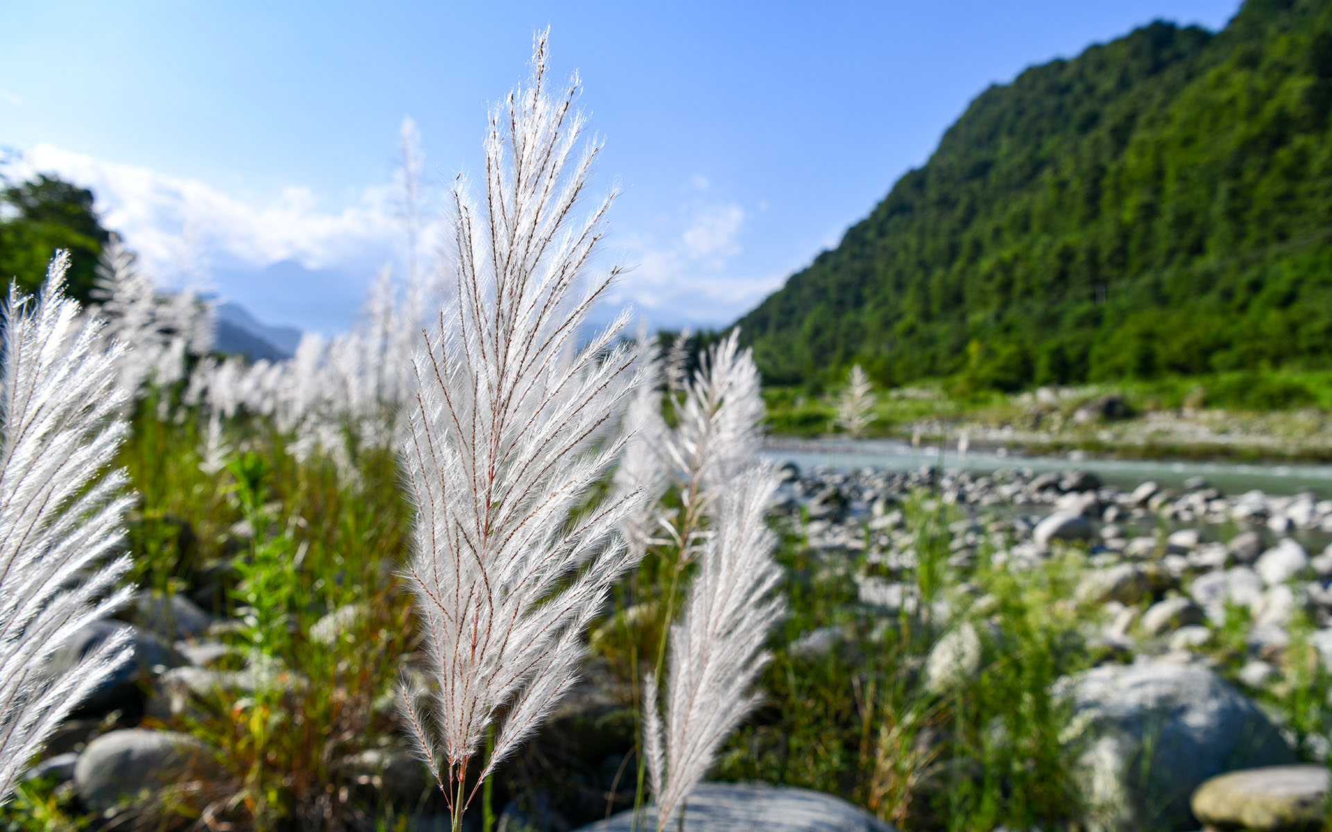 2019.08_Shiting-Jiang_Shifang_Deyang_Sichuan_China_05