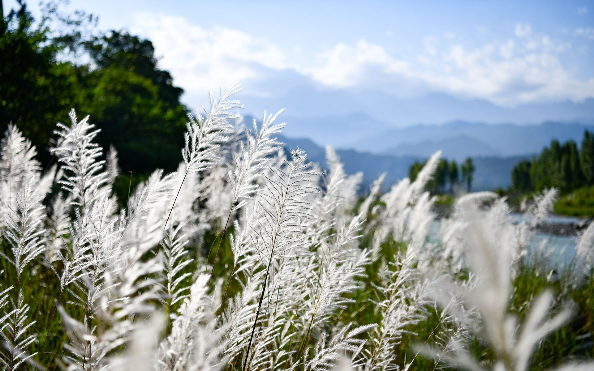 2019.08_Shiting-Jiang_Shifang_Deyang_Sichuan_China_06