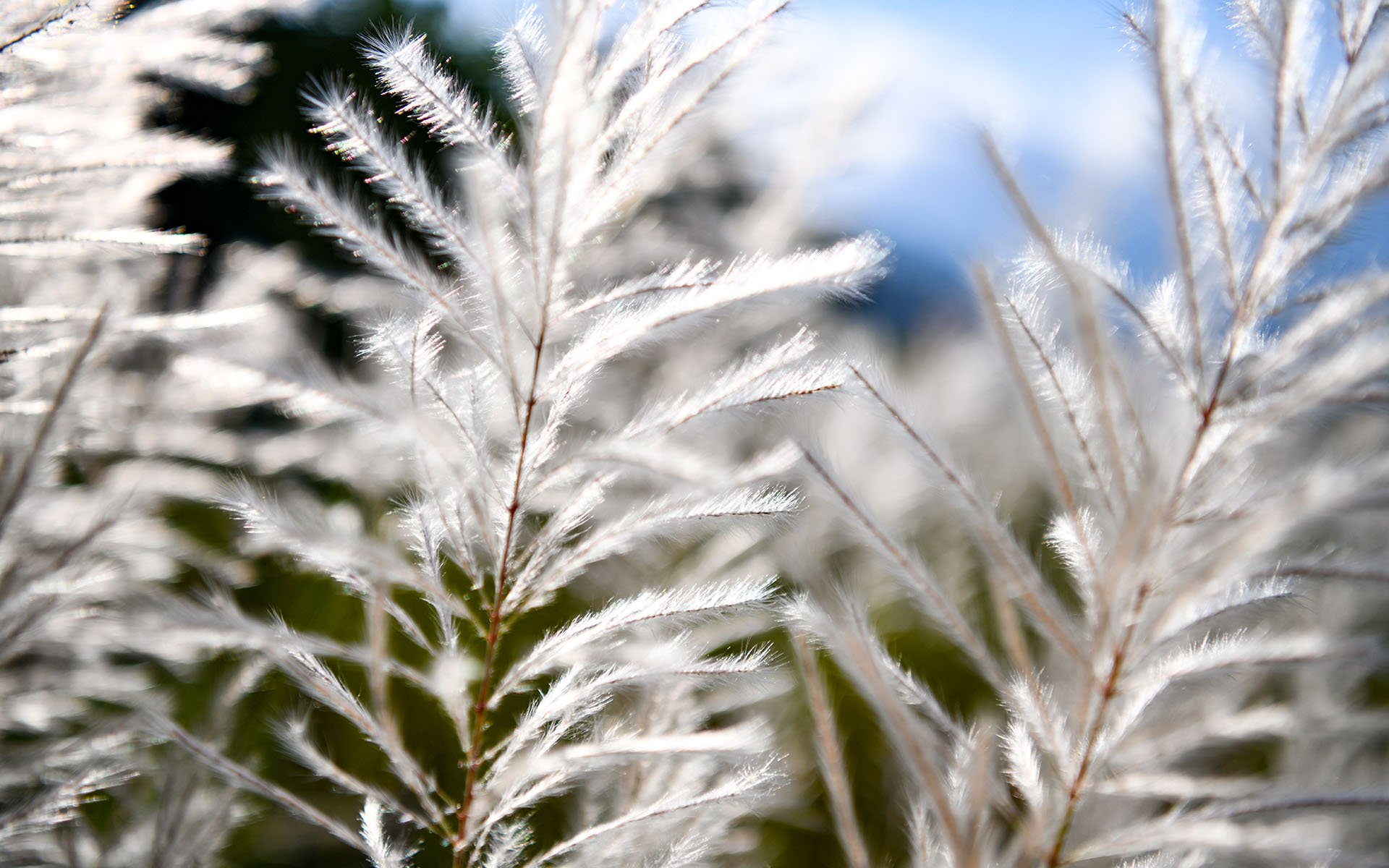 2019.08_Shiting-Jiang_Shifang_Deyang_Sichuan_China_08