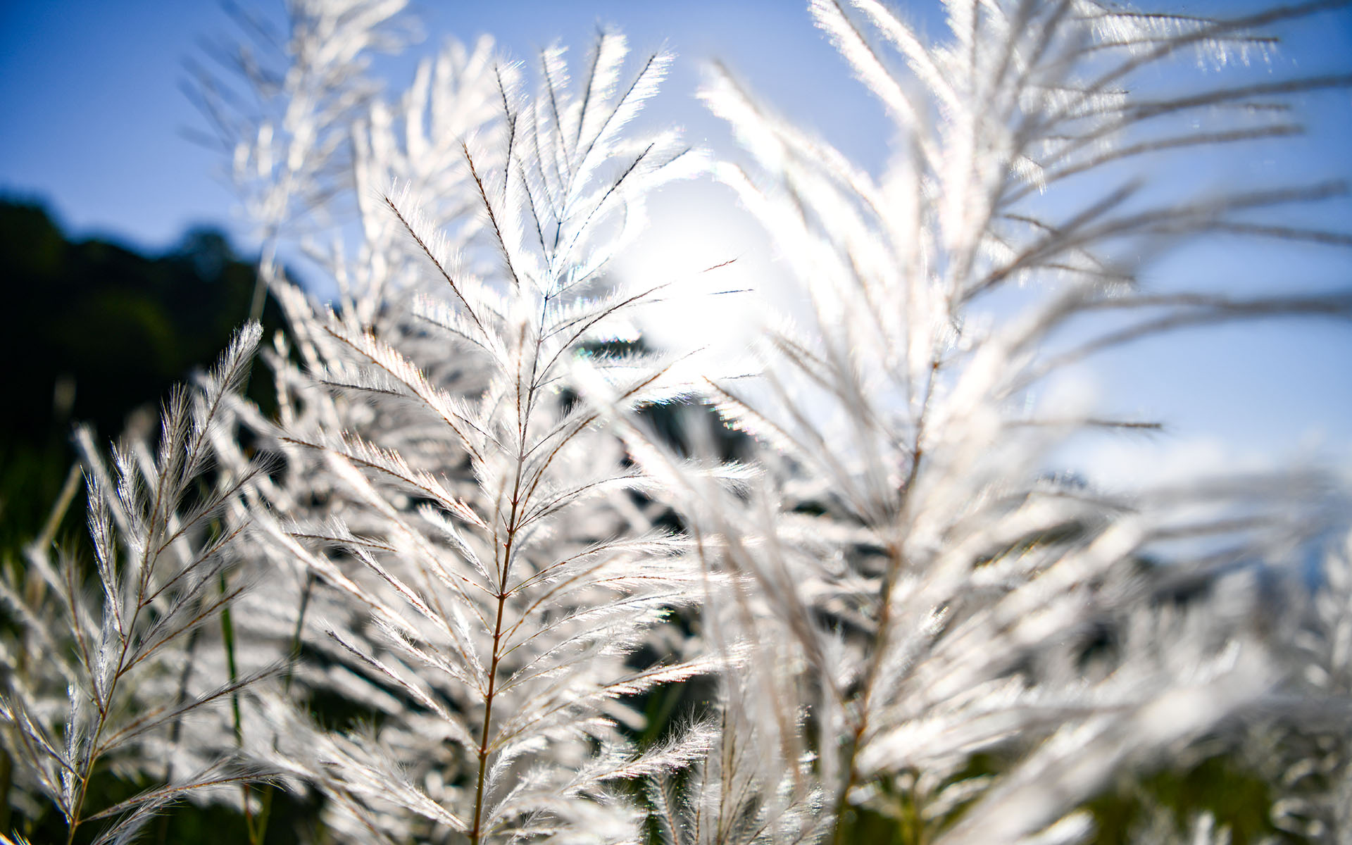 2019.08_Shiting-Jiang_Shifang_Deyang_Sichuan_China_09