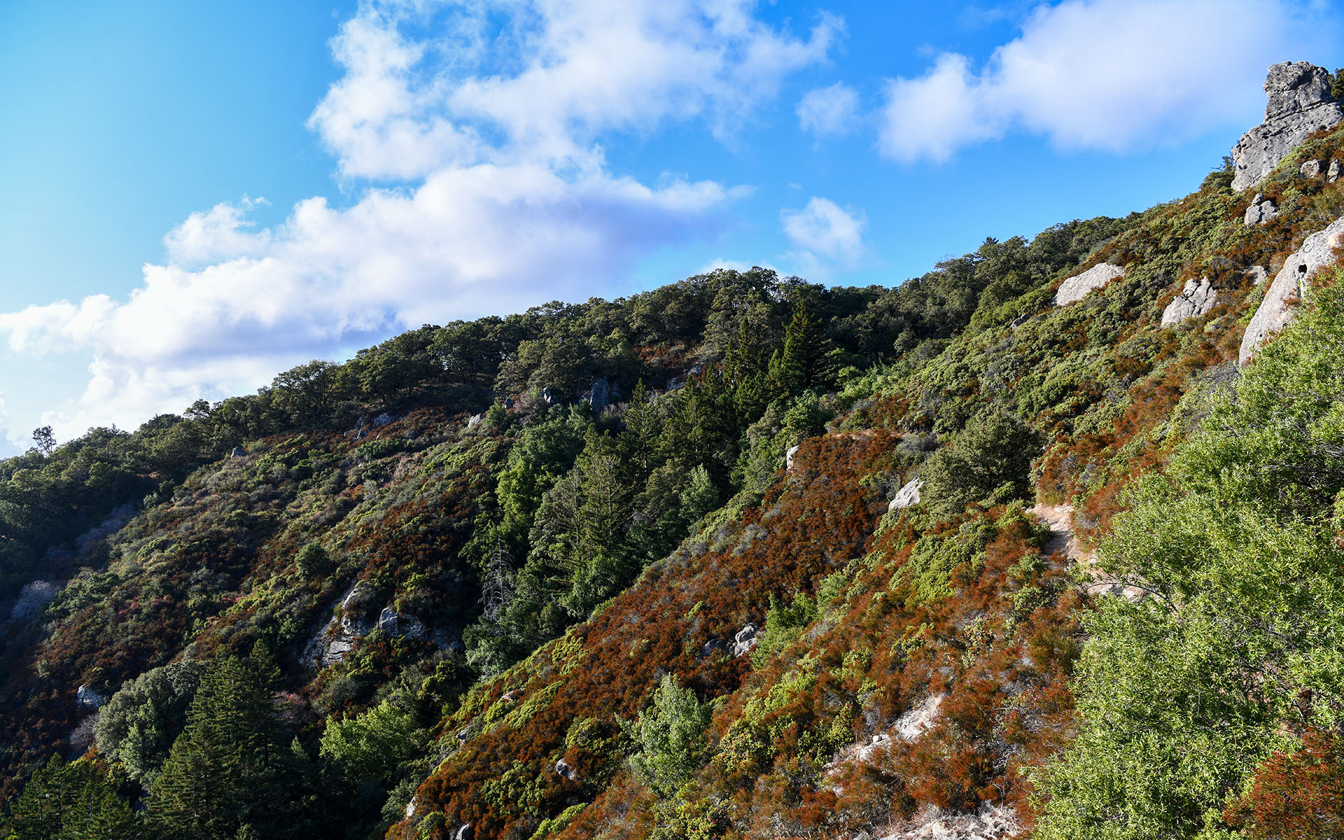 2019.09_Castle-Rock-State-Park_California_USA_03