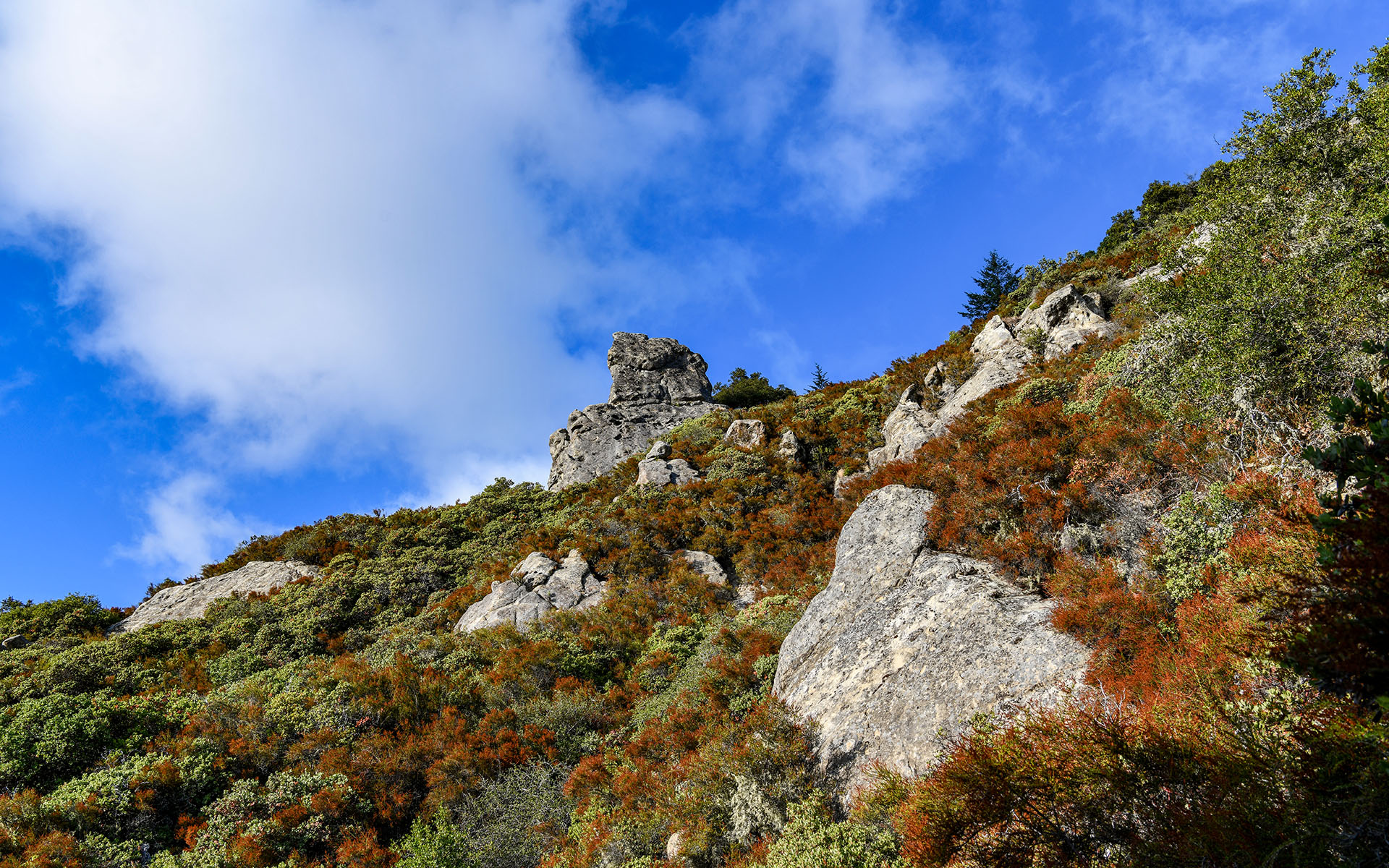 2019.09_Castle-Rock-State-Park_California_USA_04