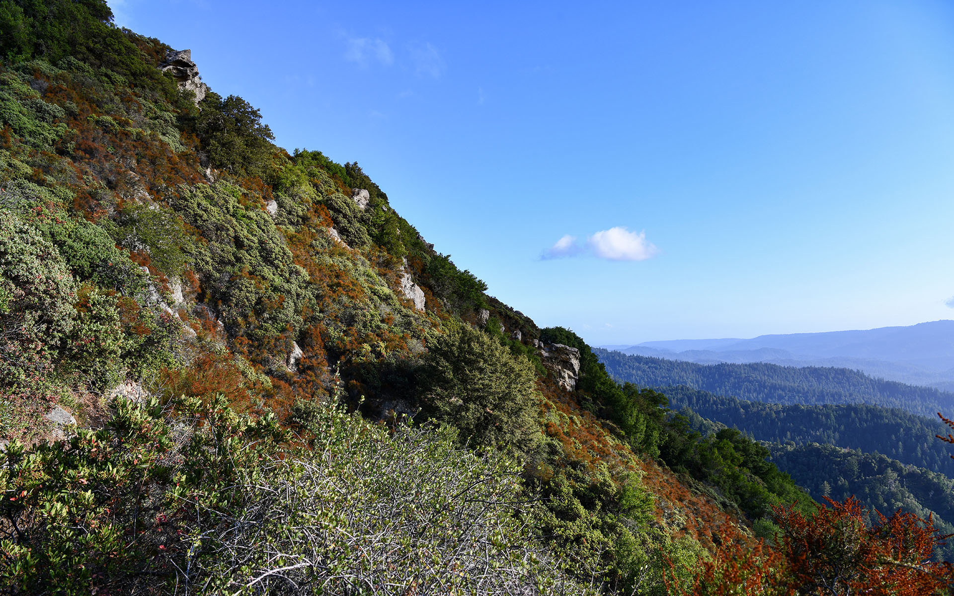 2019.09_Castle-Rock-State-Park_California_USA_05