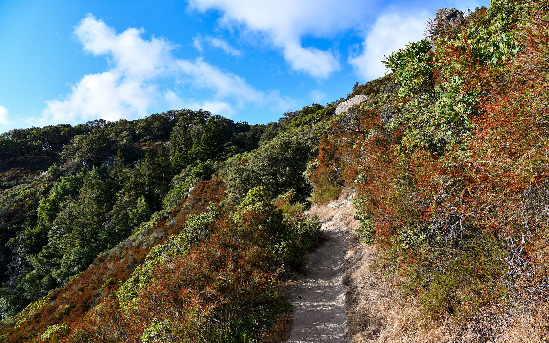 2019.09_Castle-Rock-State-Park_California_USA_07